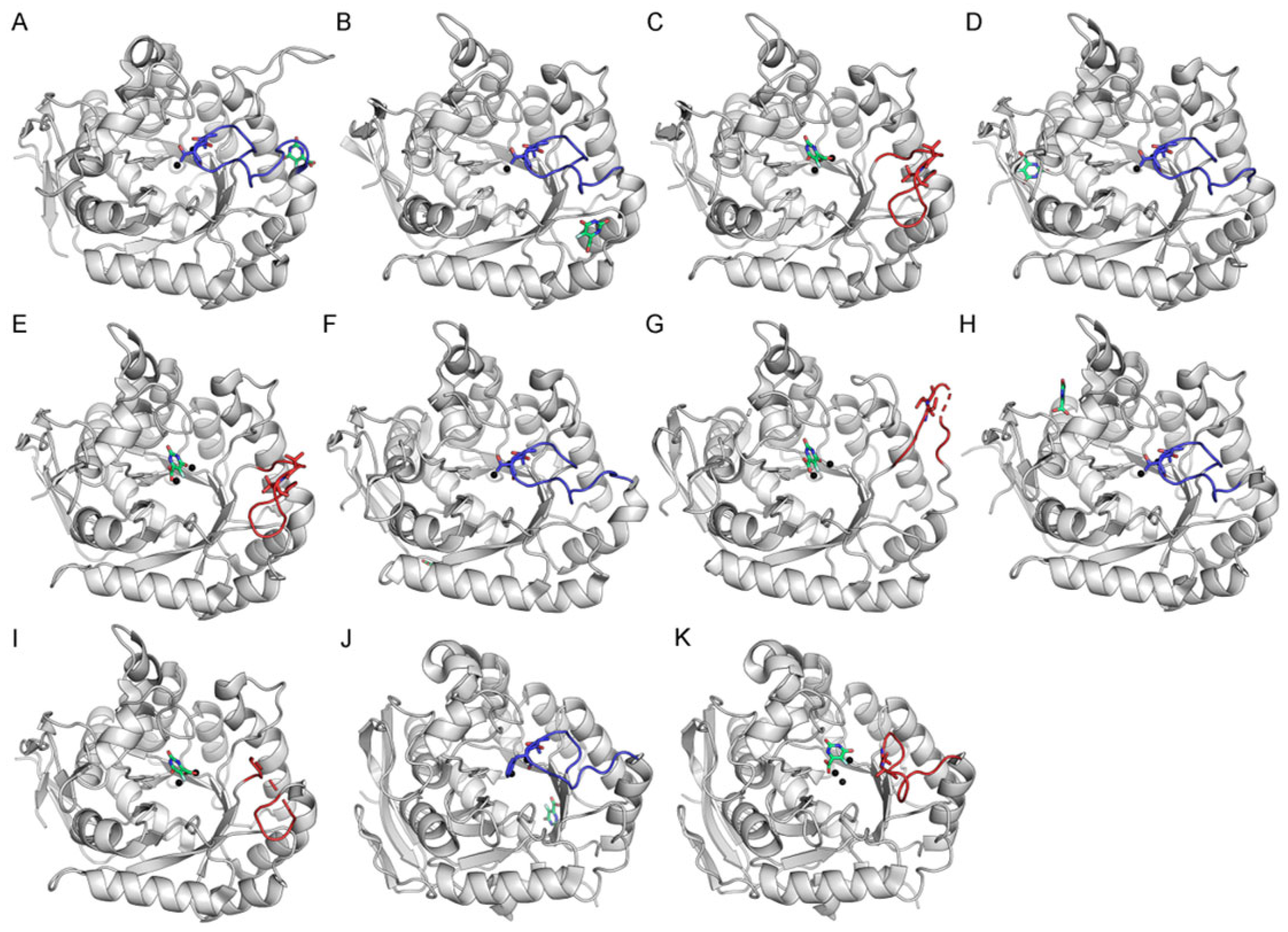 Ijms 26 09688 g006 Ijms 26 09688 g006