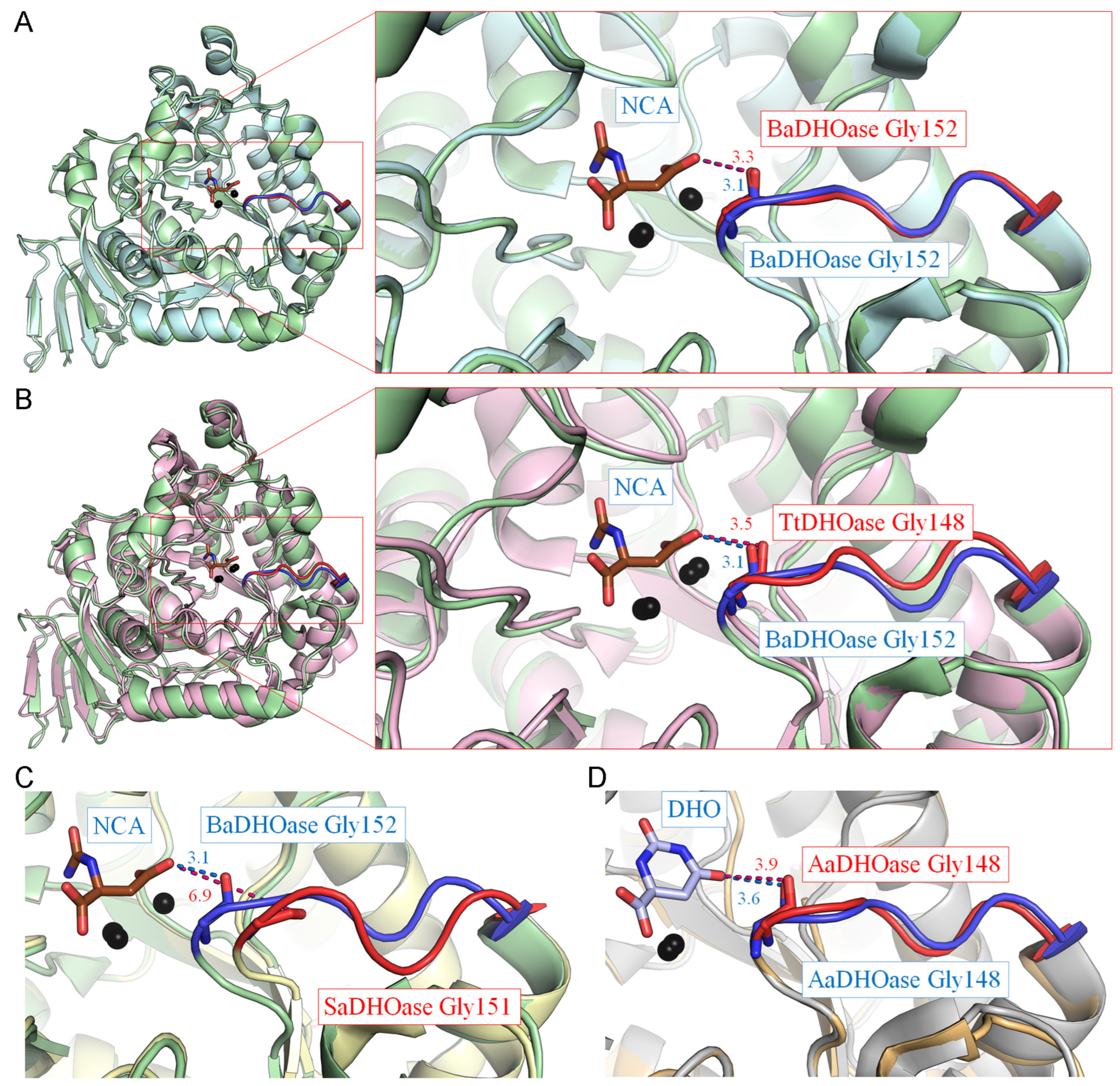 Ijms 26 09688 g007 Ijms 26 09688 g007