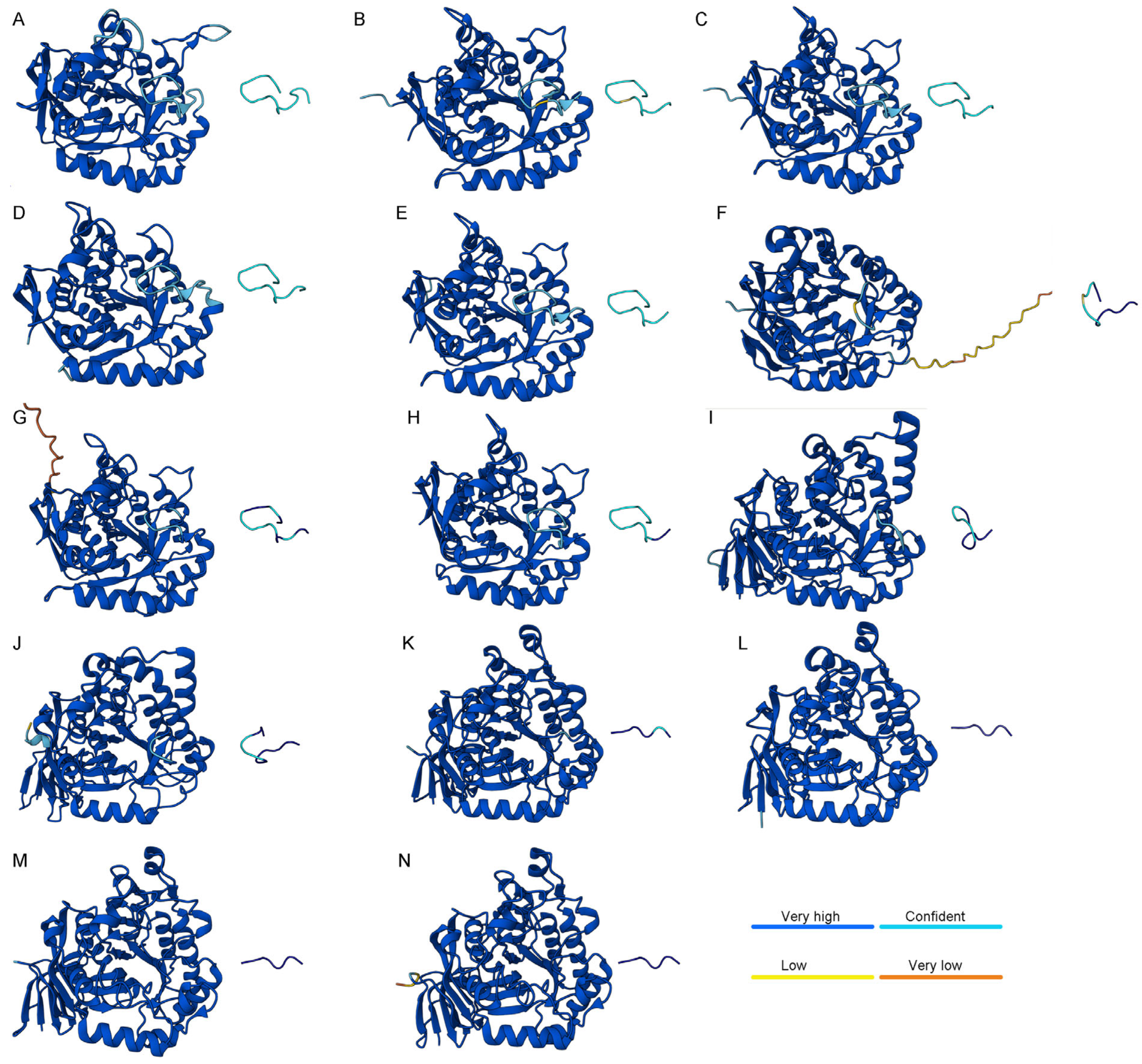 Ijms 26 09688 g009 Ijms 26 09688 g009