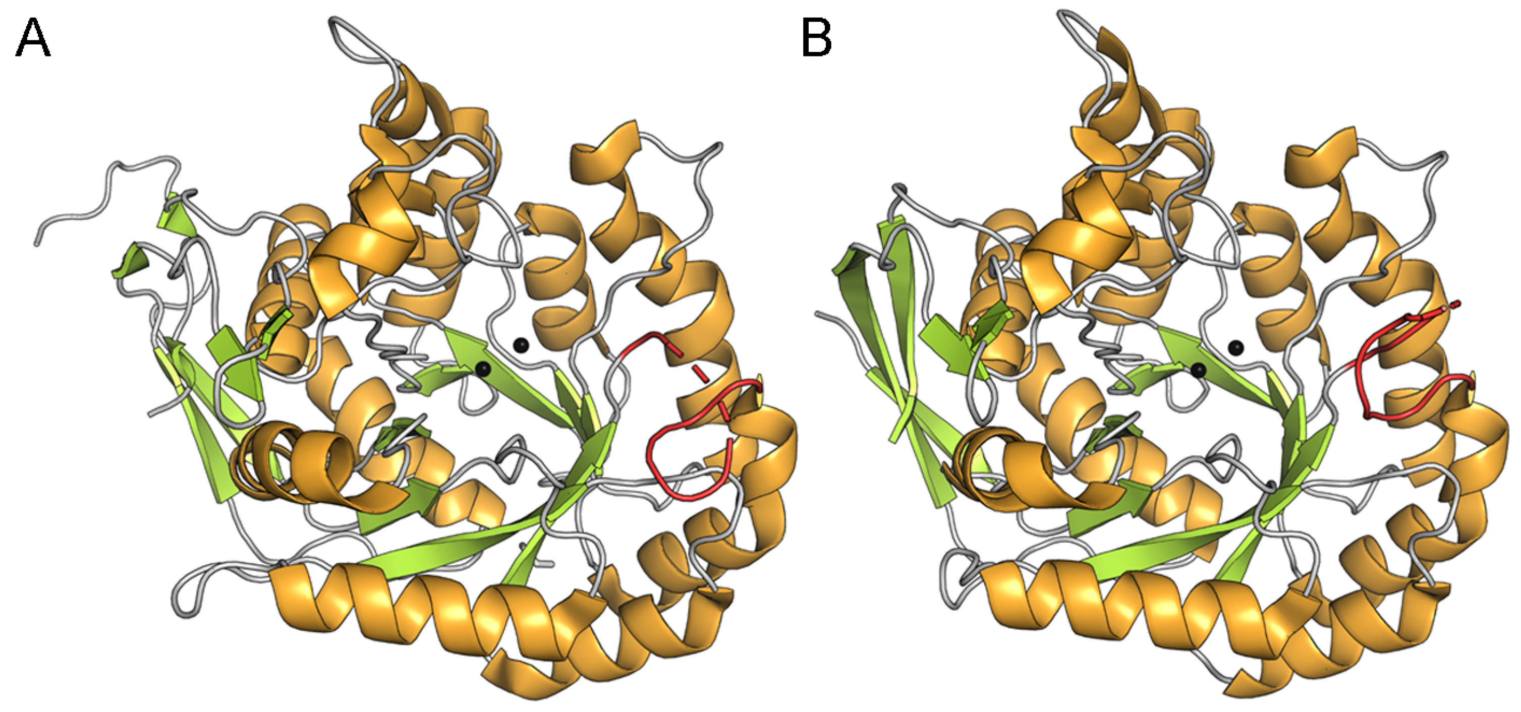 Ijms 26 09688 g010 Ijms 26 09688 g010