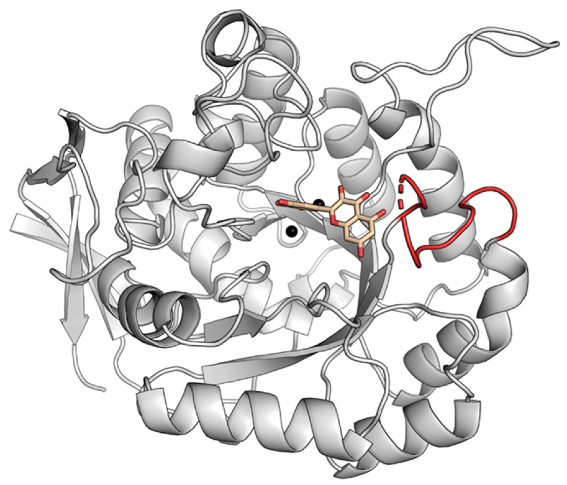 Ijms 26 09688 g011 Ijms 26 09688 g011