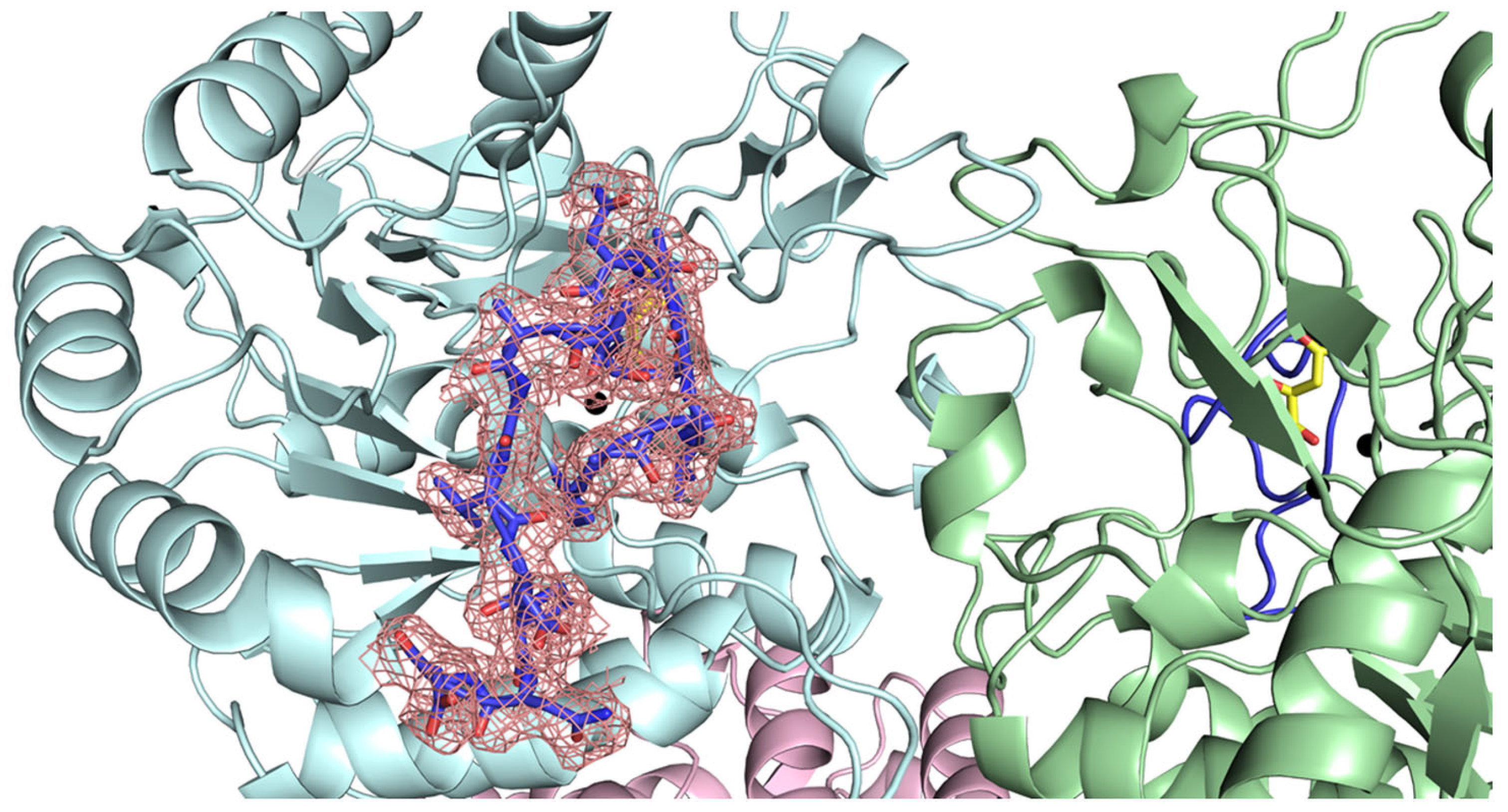 Ijms 26 09688 g012 Ijms 26 09688 g012