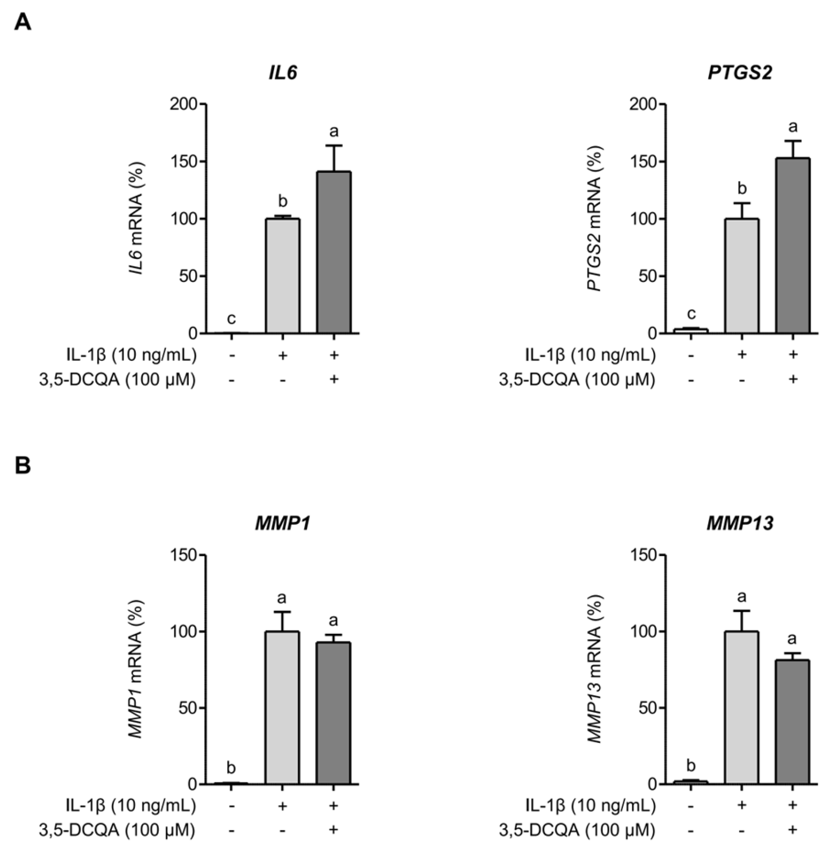 Ijms 26 09691 g003 Ijms 26 09691 g003