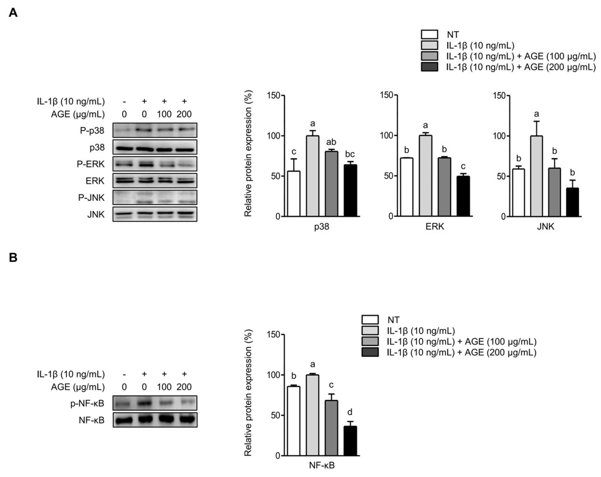 Ijms 26 09691 g005 Ijms 26 09691 g005