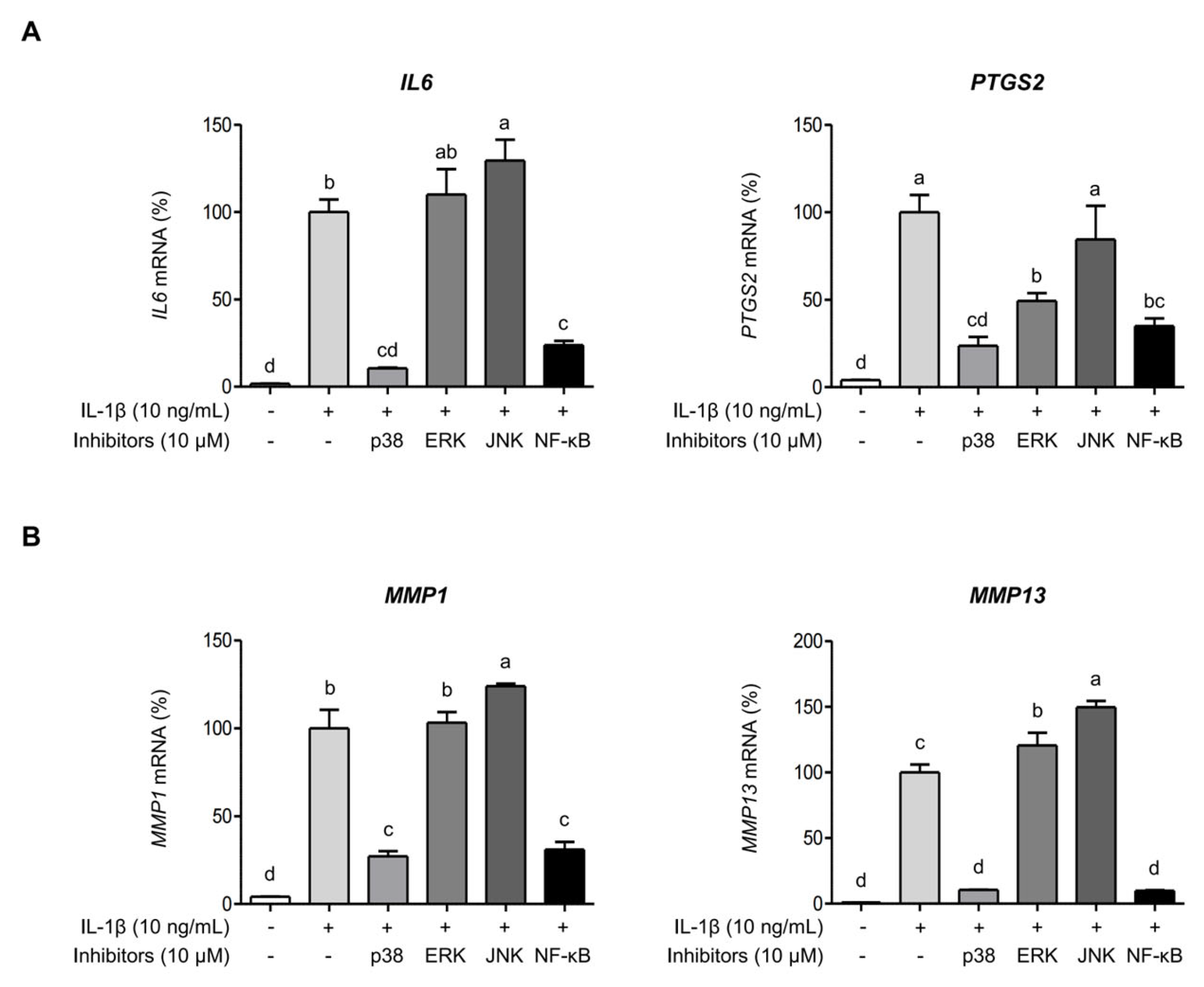 Ijms 26 09691 g006 Ijms 26 09691 g006