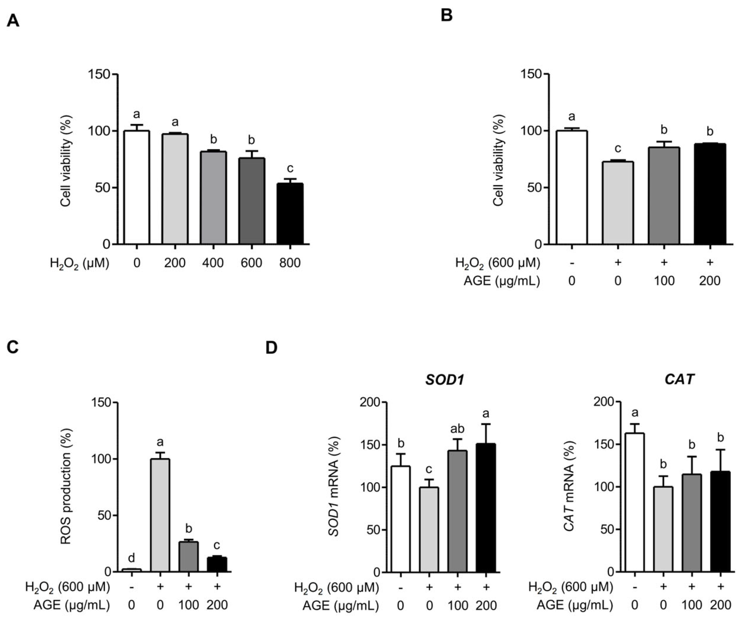 Ijms 26 09691 g007 Ijms 26 09691 g007