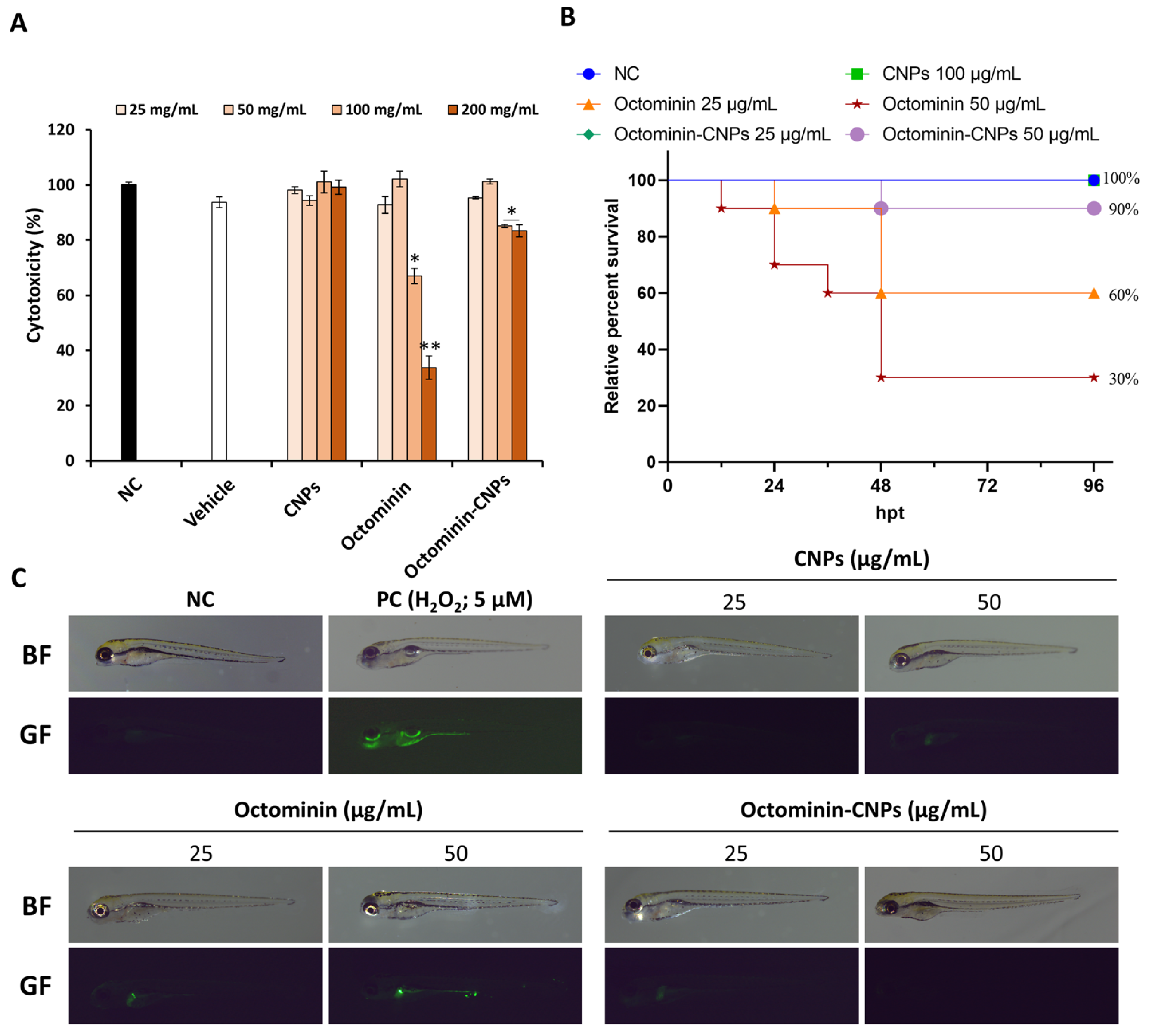 Ijms 26 09701 g001 Ijms 26 09701 g001