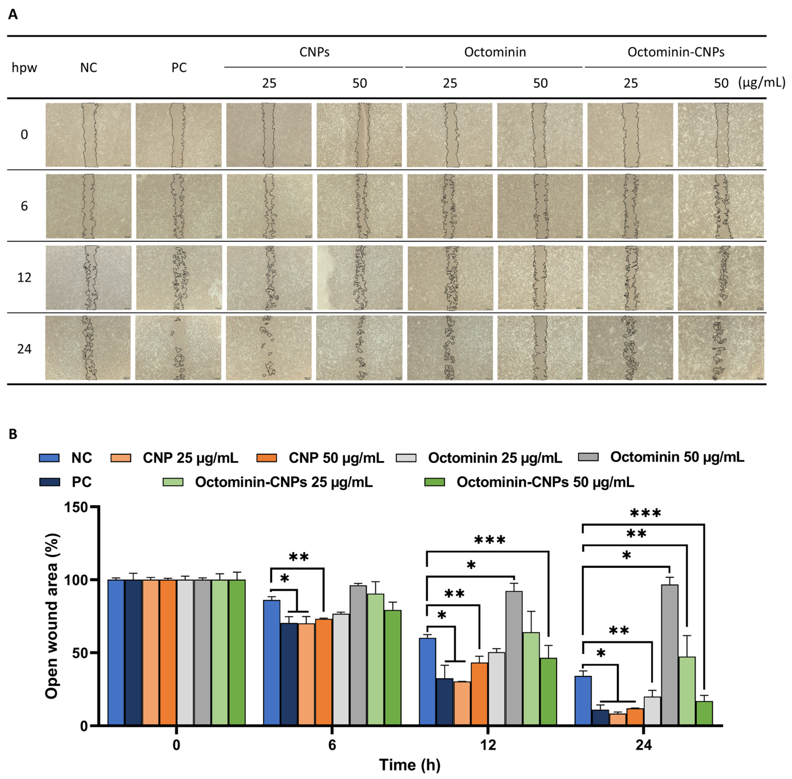 Ijms 26 09701 g002 Ijms 26 09701 g002