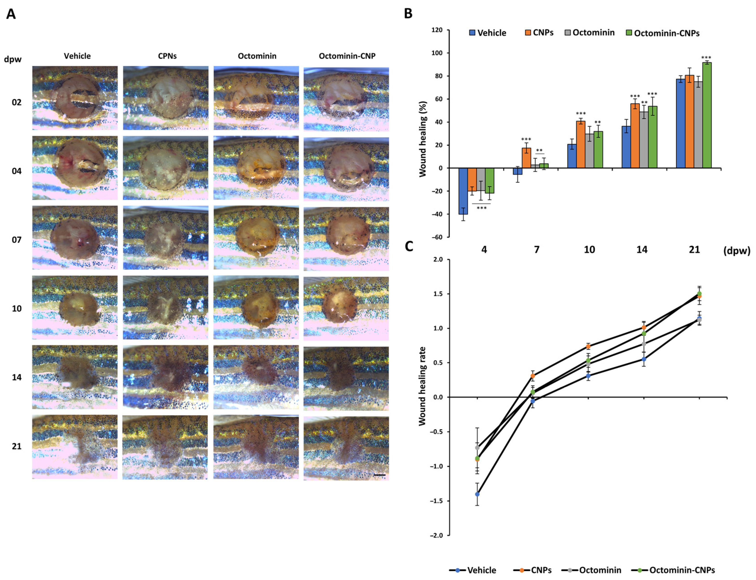 Ijms 26 09701 g003 Ijms 26 09701 g003