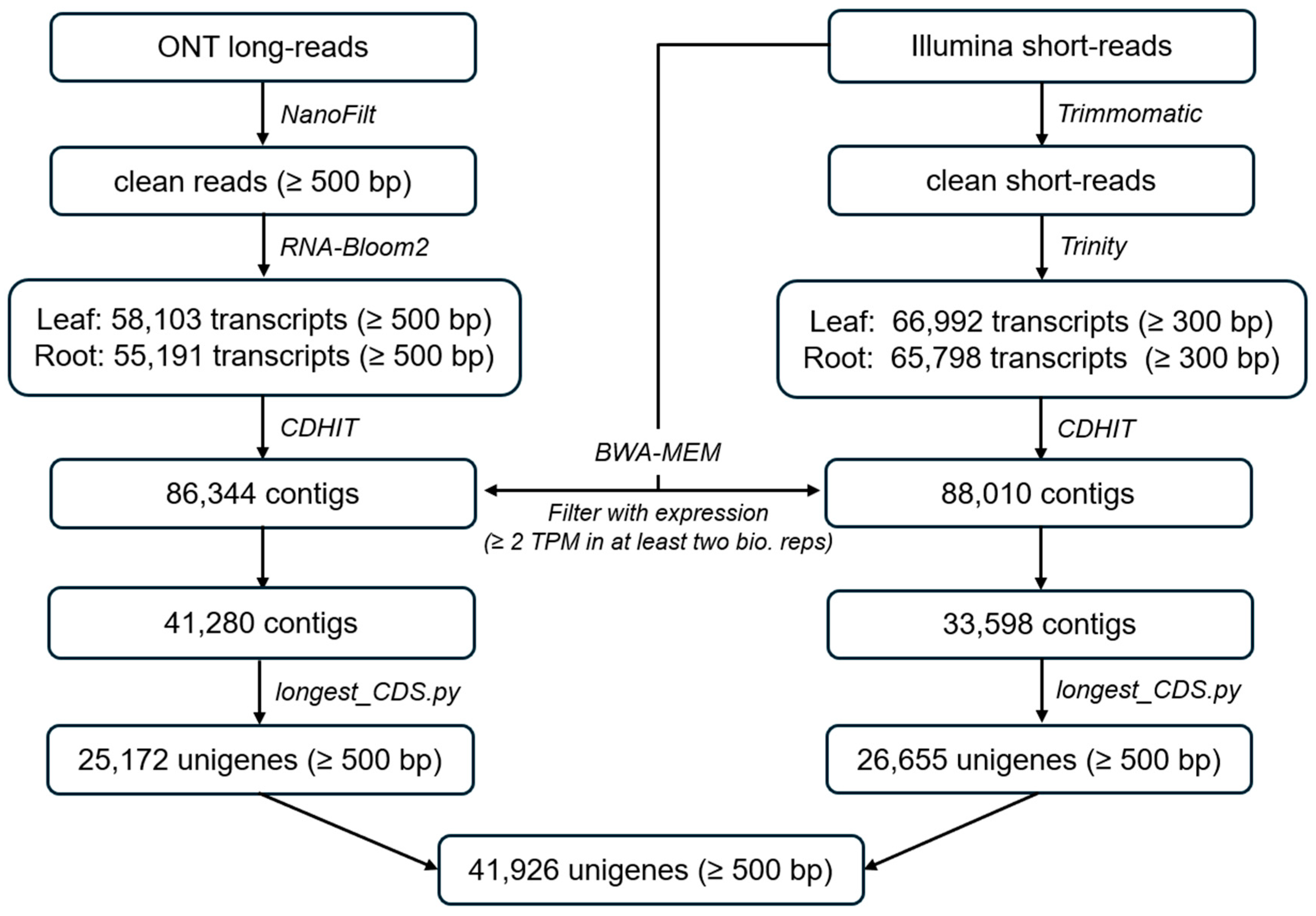 Ijms 26 09704 g001 Ijms 26 09704 g001