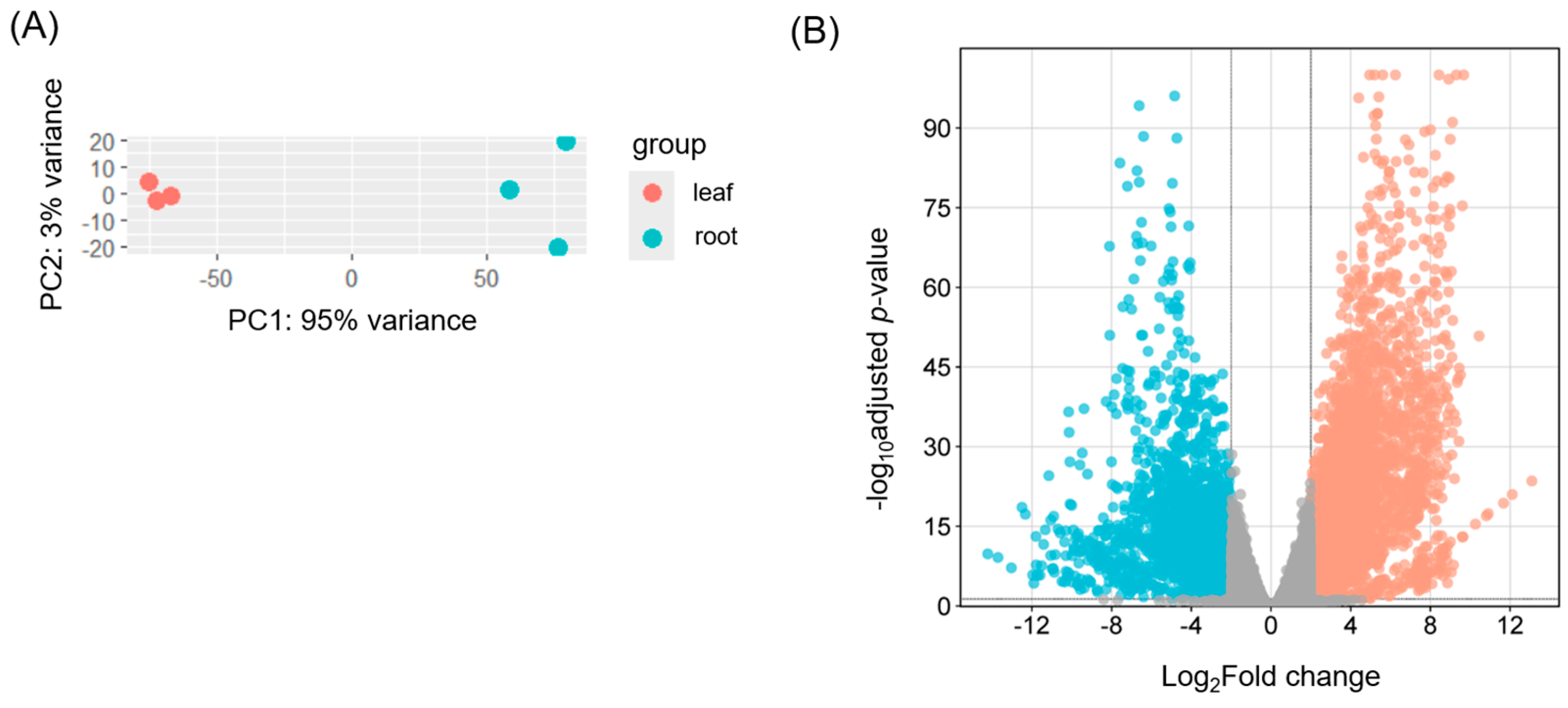 Ijms 26 09704 g002 Ijms 26 09704 g002