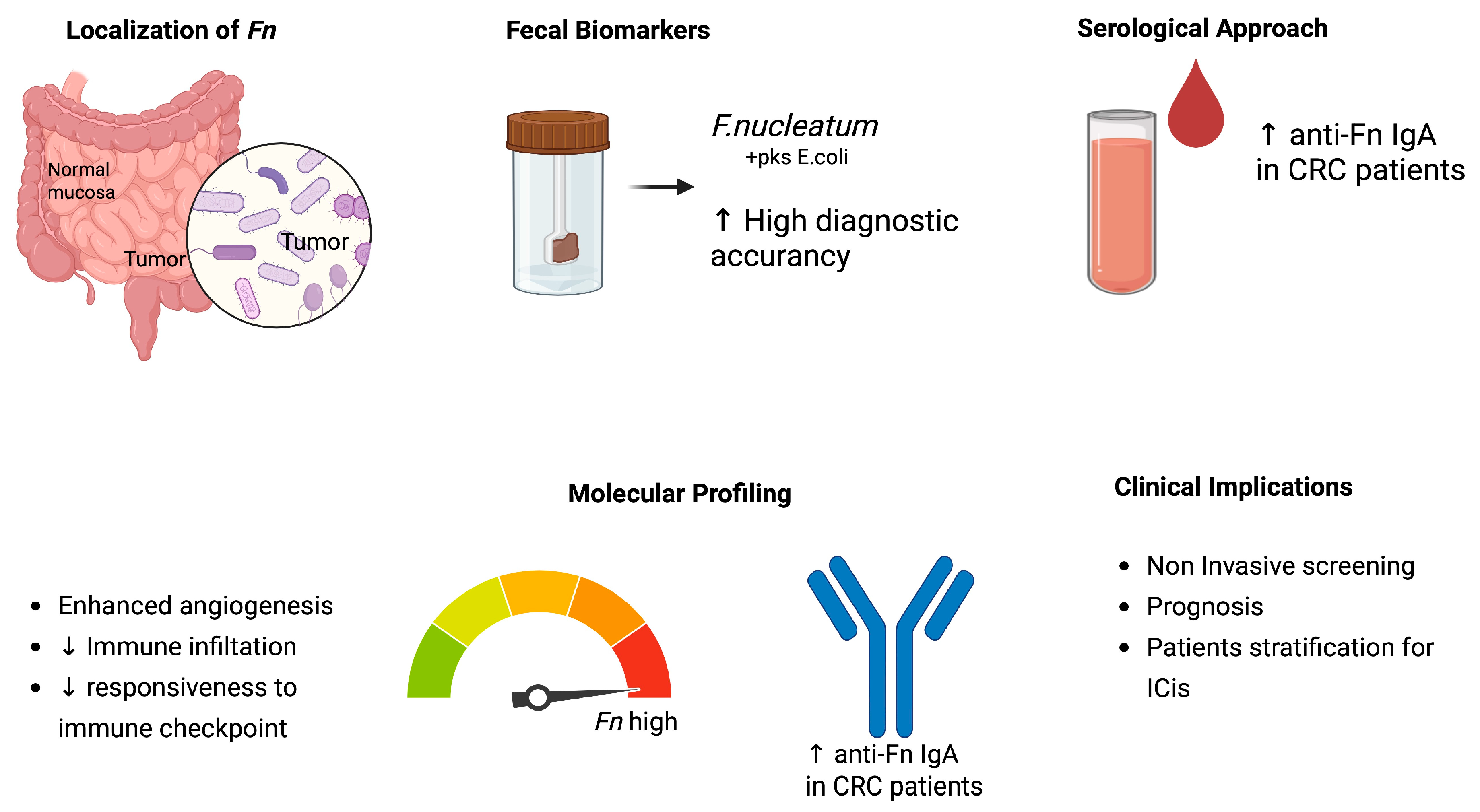 Ijms 26 09710 g005 Ijms 26 09710 g005