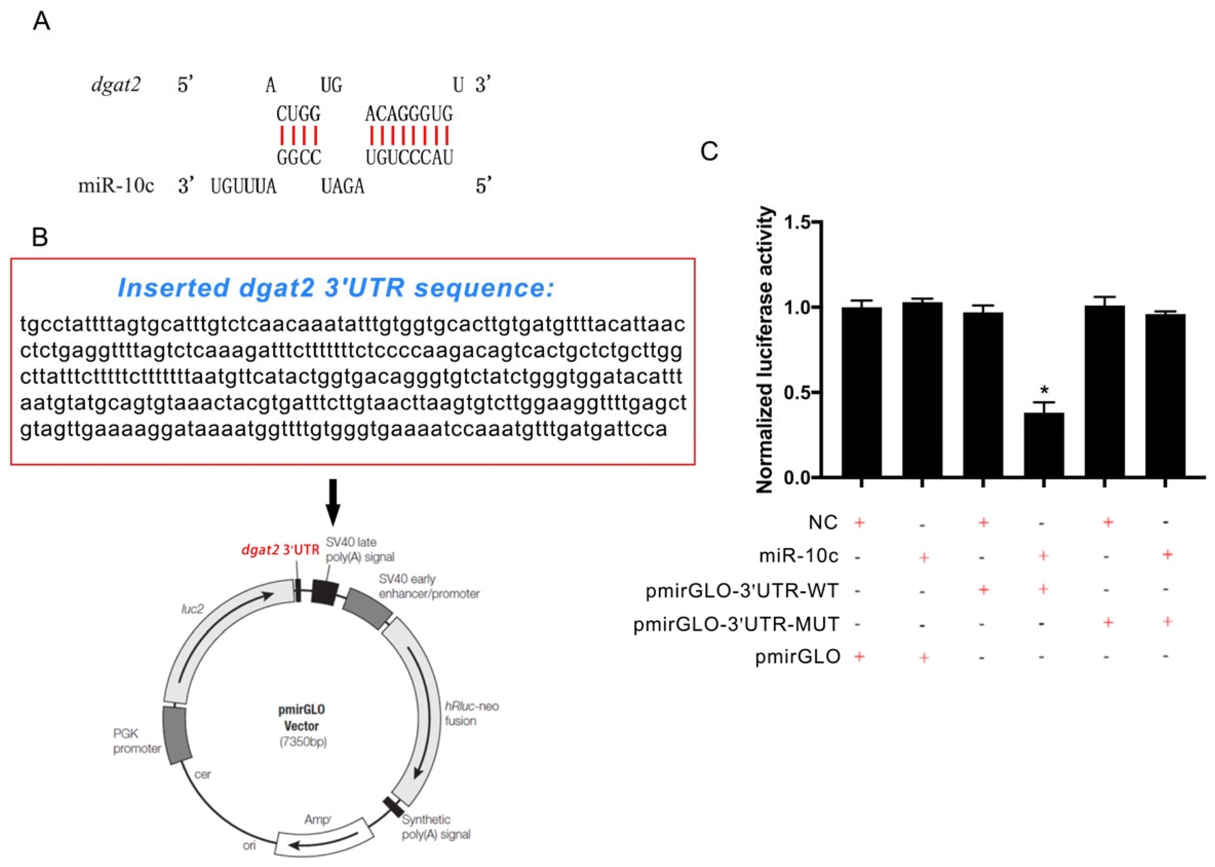 Ijms 26 09717 g002 Ijms 26 09717 g002