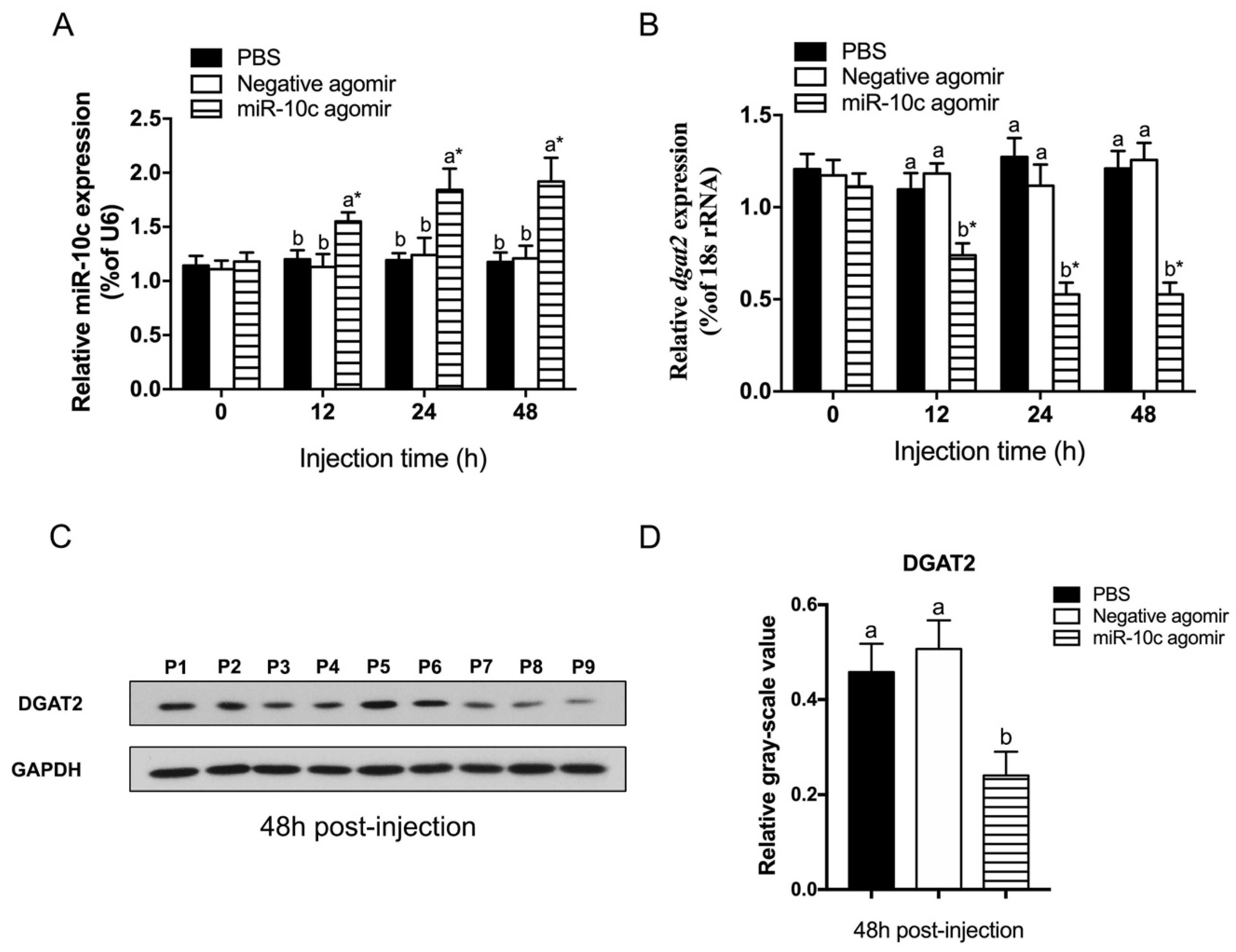 Ijms 26 09717 g003 Ijms 26 09717 g003