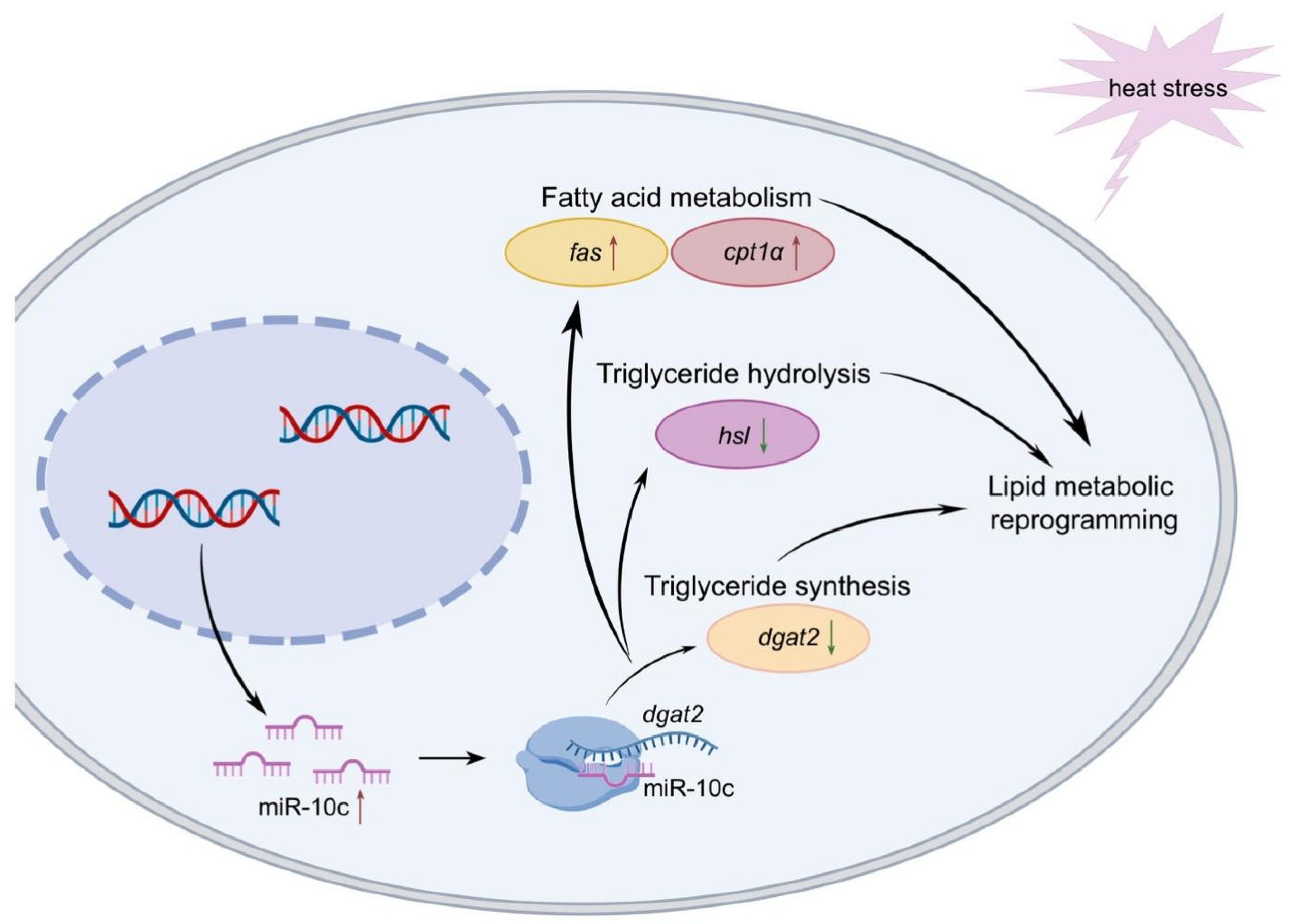 Ijms 26 09717 g007 Ijms 26 09717 g007