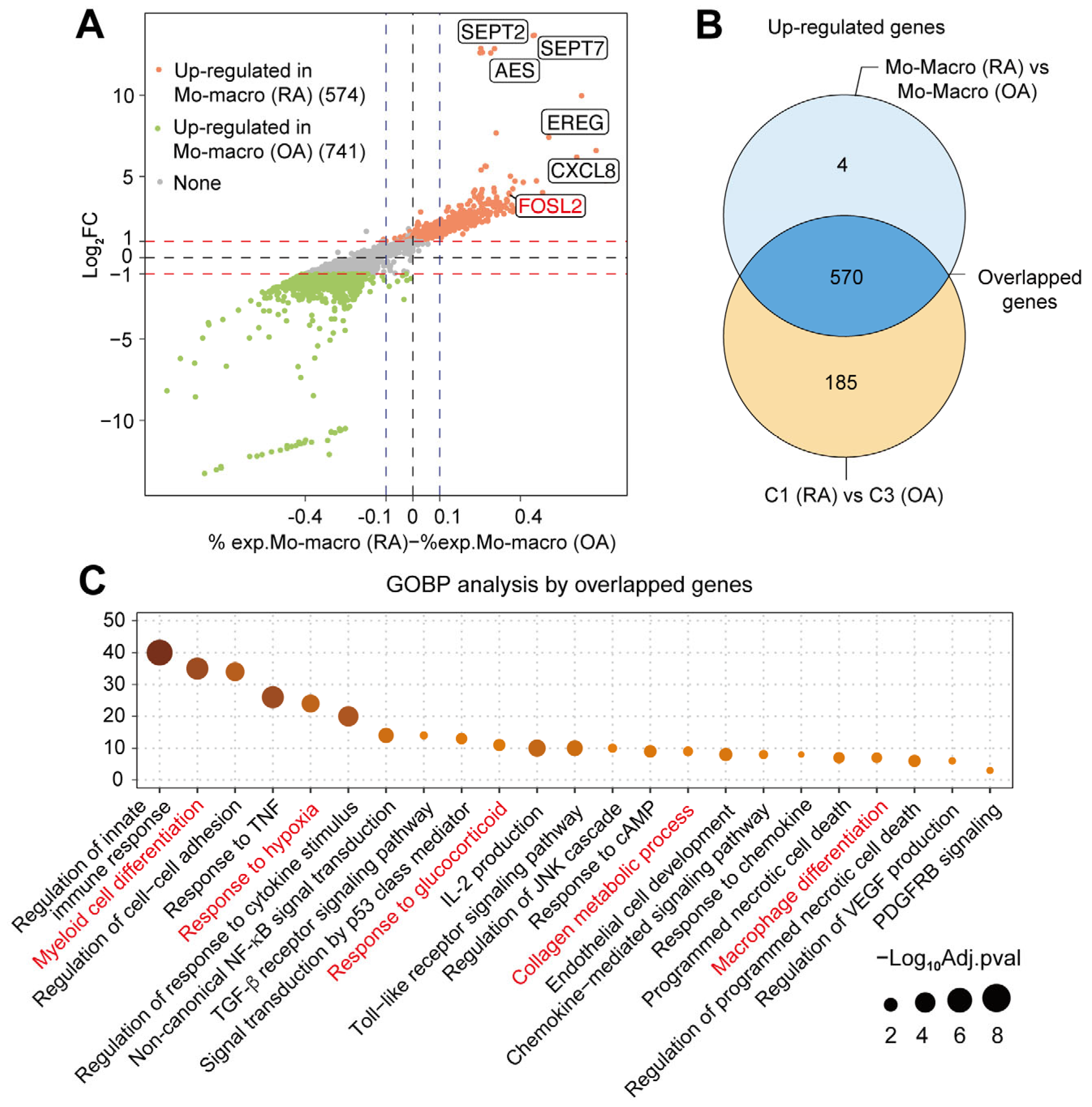 Ijms 26 09718 g003 Ijms 26 09718 g003