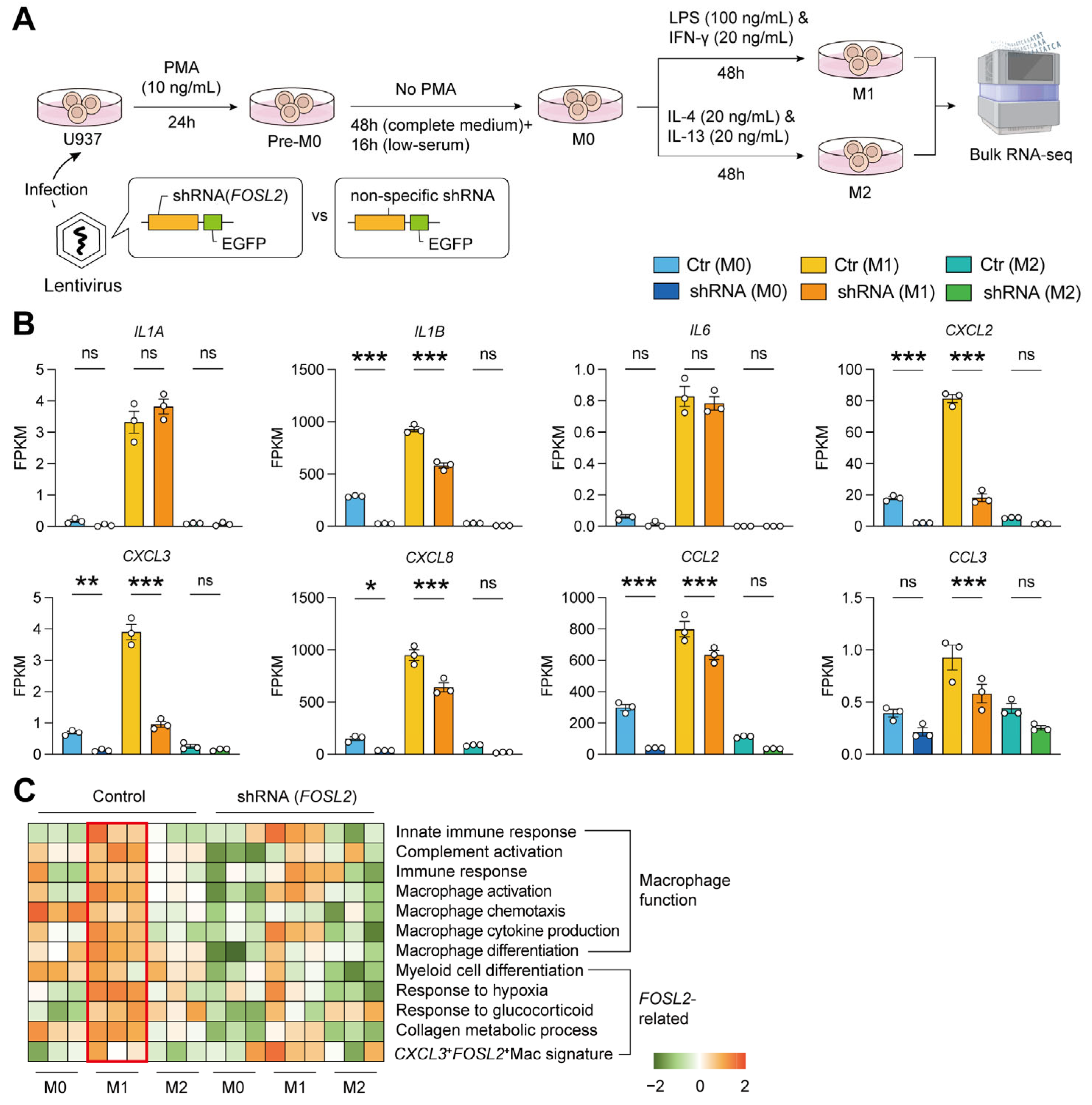 Ijms 26 09718 g005 Ijms 26 09718 g005