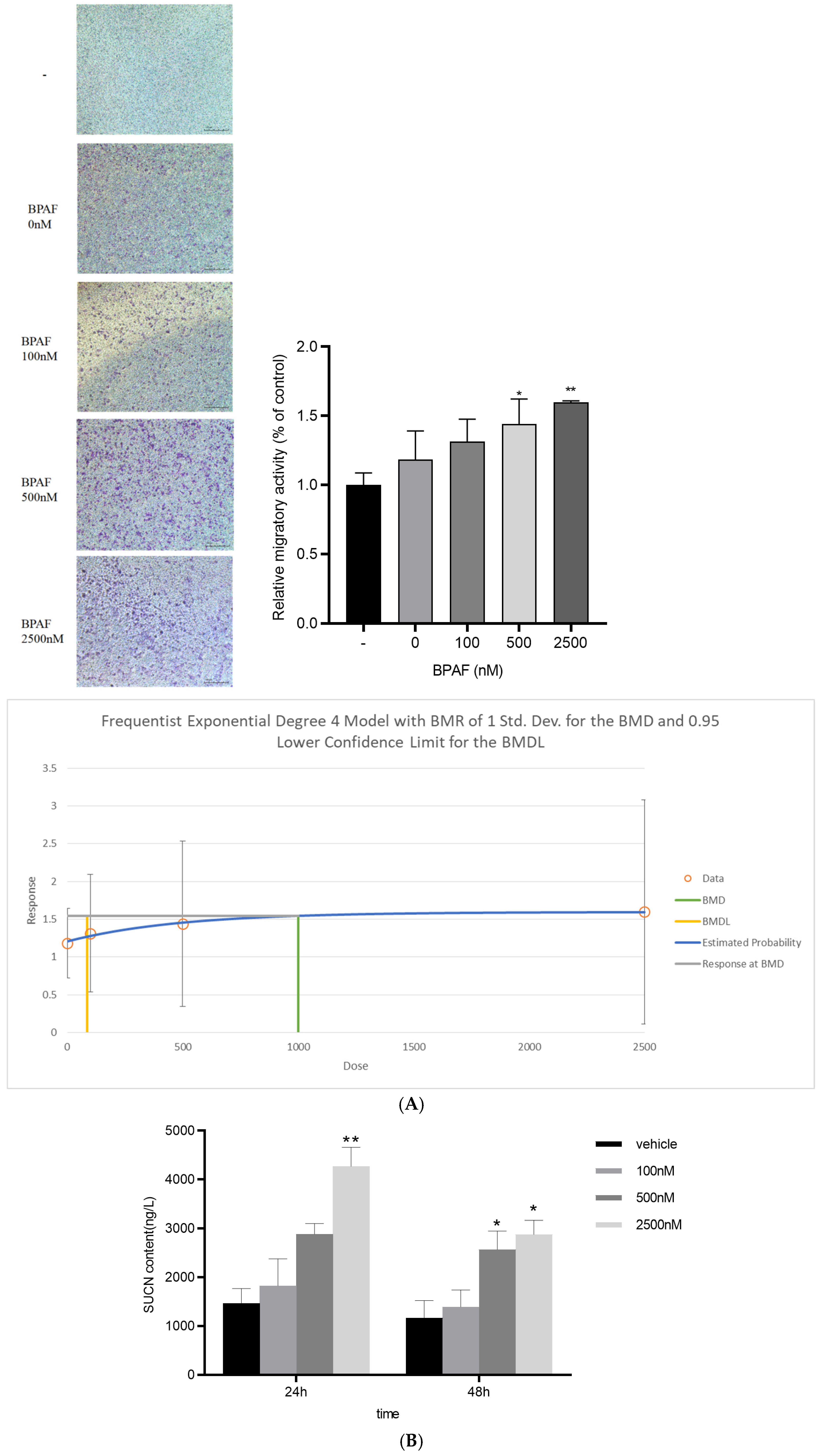 Ijms 26 09720 g002 Ijms 26 09720 g002