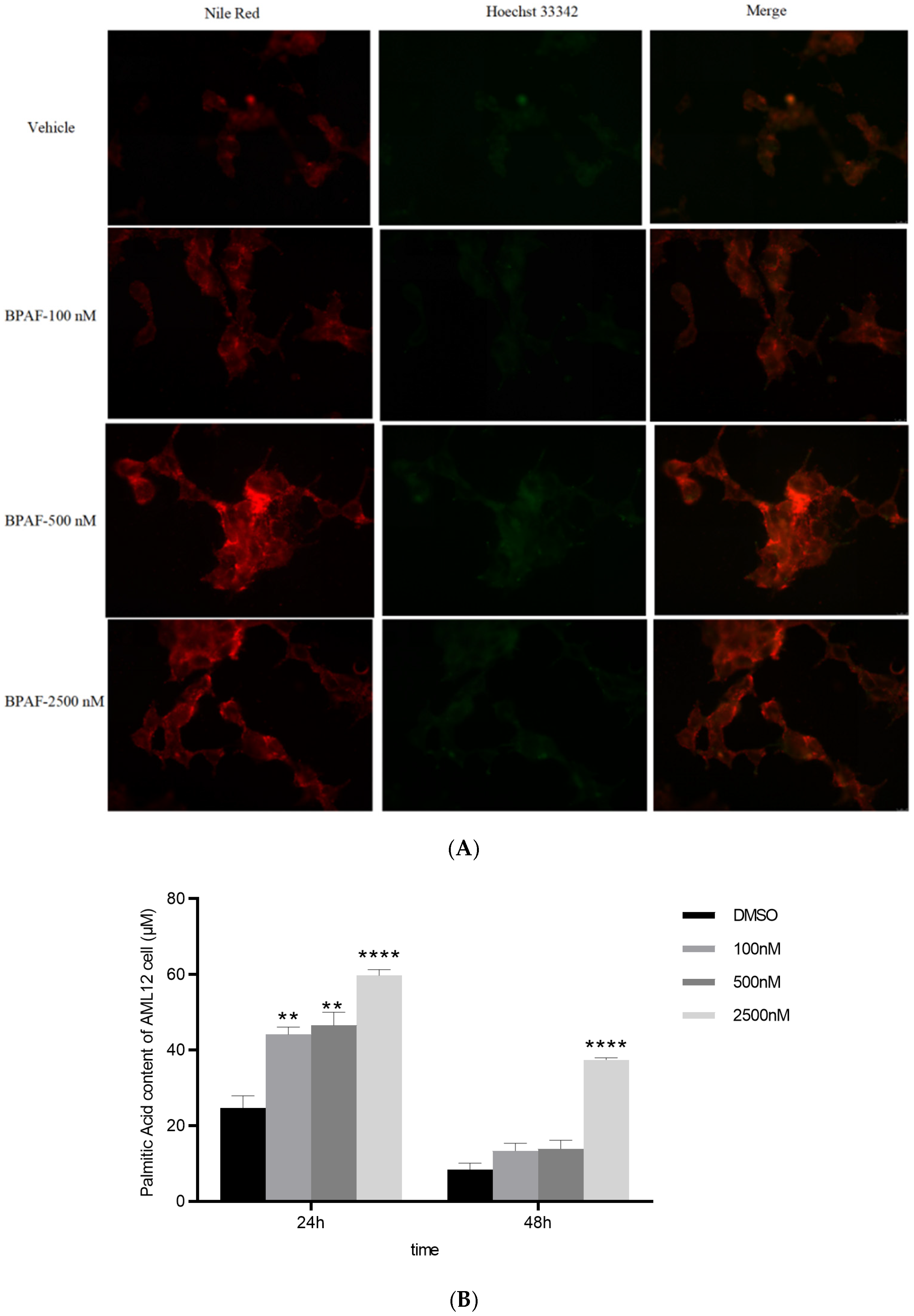 Ijms 26 09720 g004 Ijms 26 09720 g004