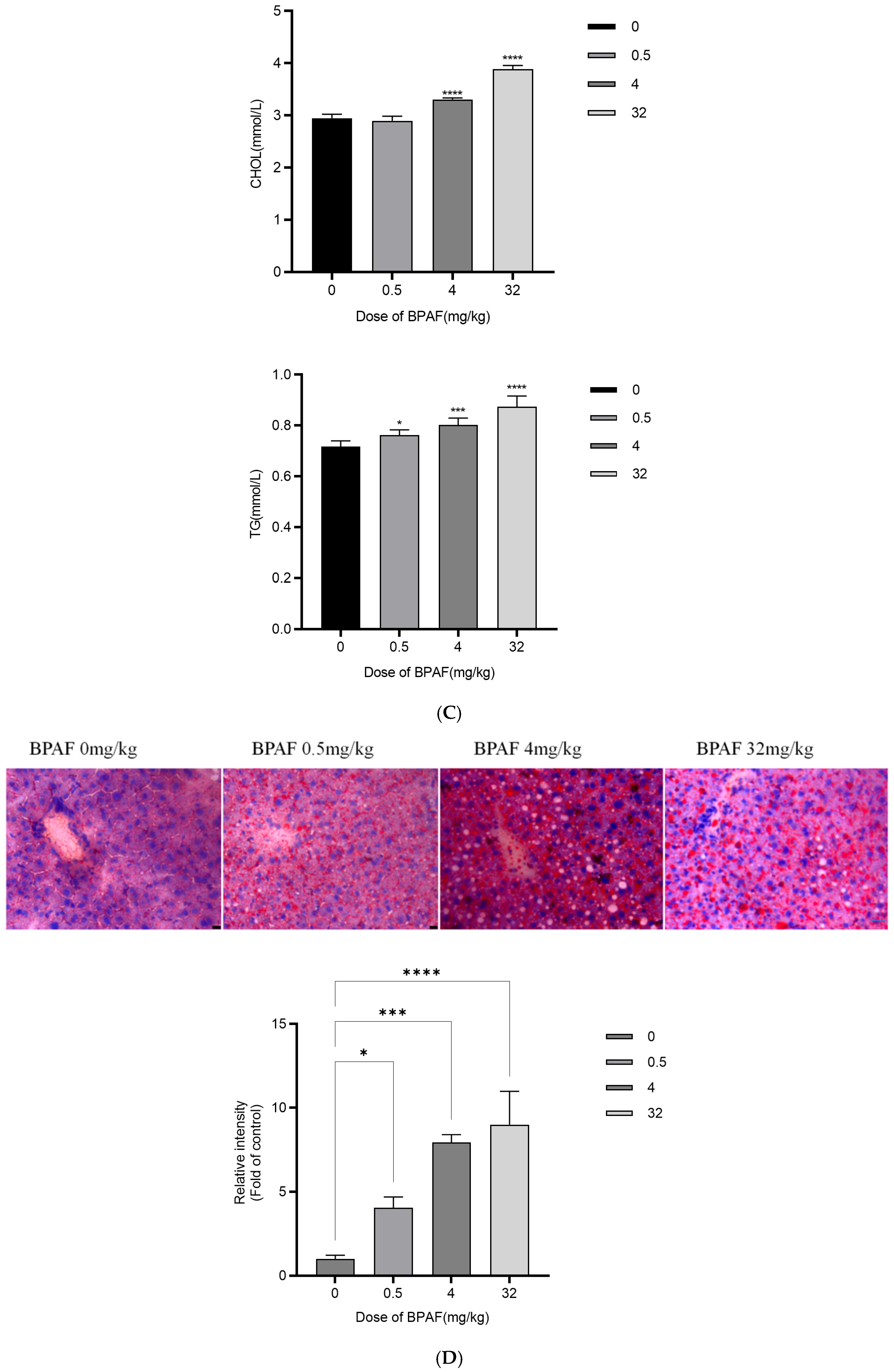 Ijms 26 09720 g005b Ijms 26 09720 g005b