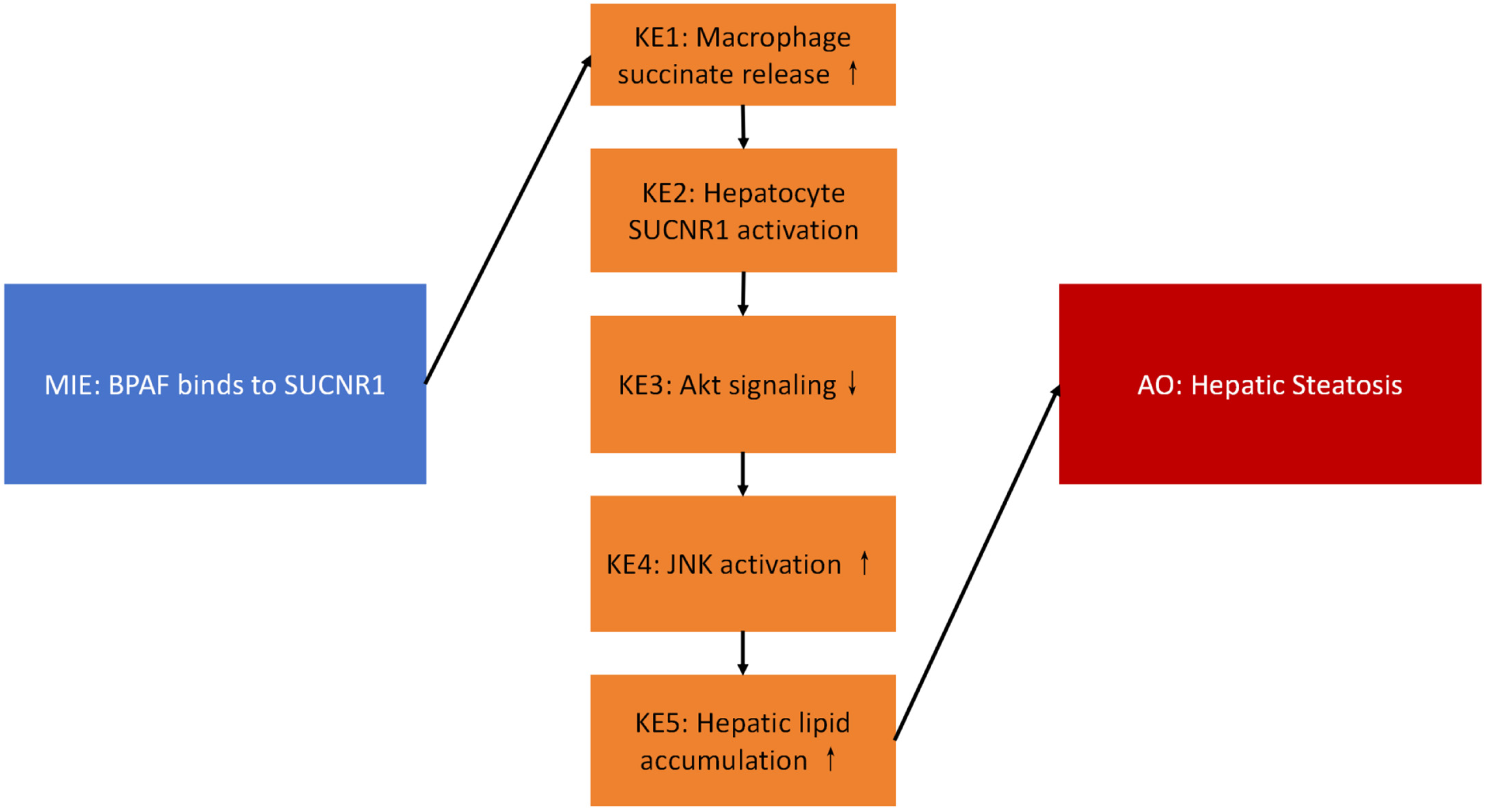 Ijms 26 09720 g006 Ijms 26 09720 g006
