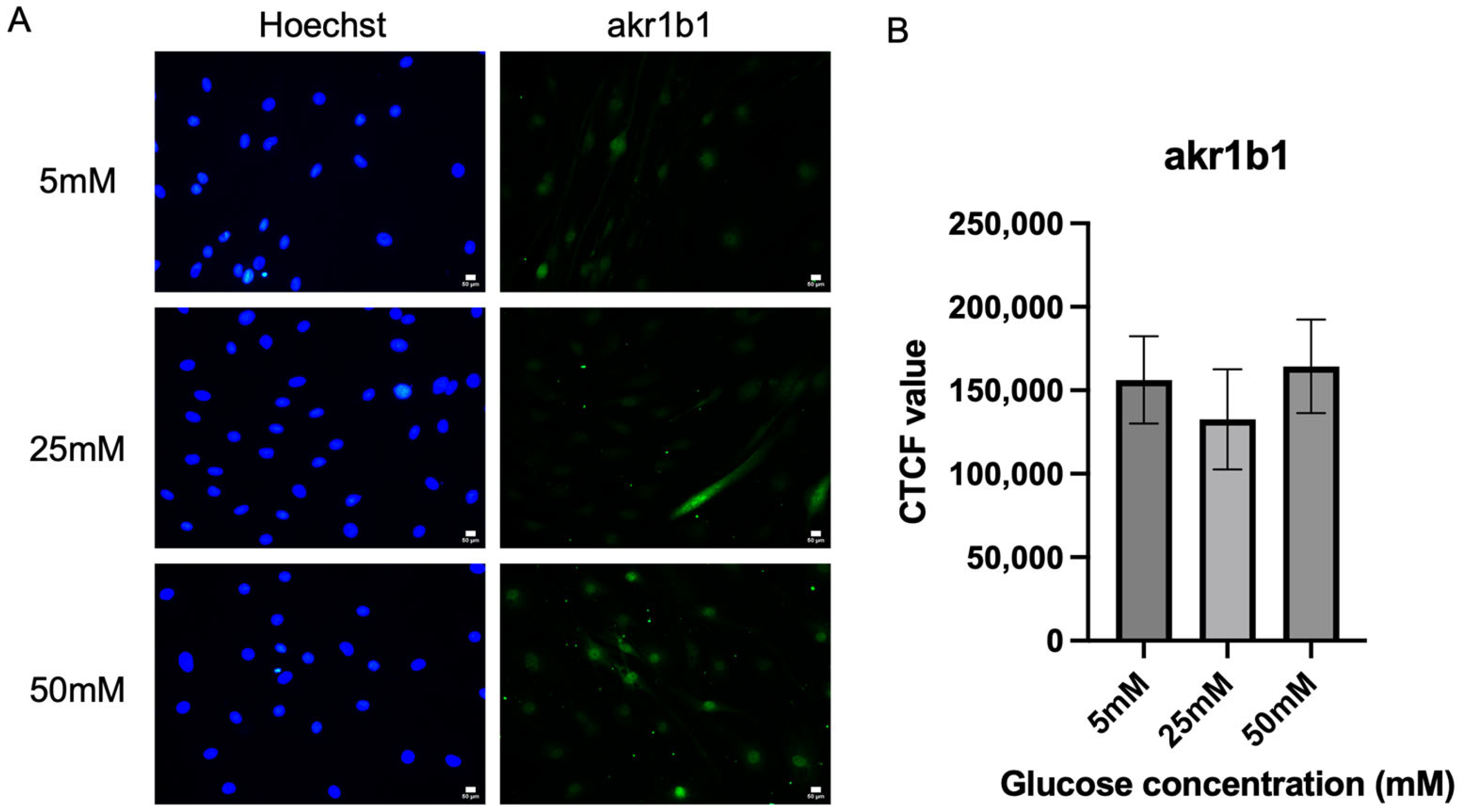 Ijms 26 09724 g003 Ijms 26 09724 g003