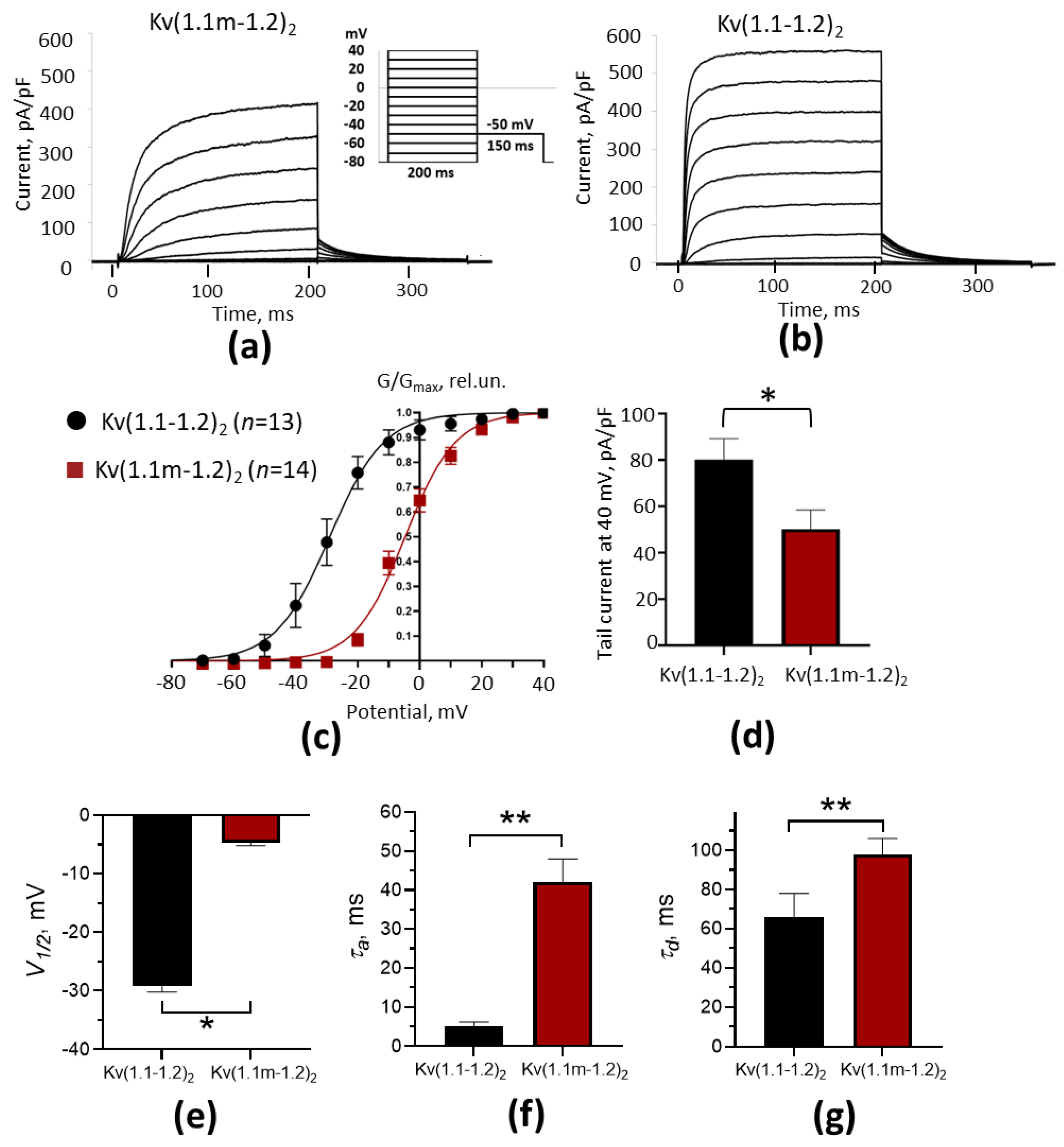 Ijms 26 09730 g003 Ijms 26 09730 g003