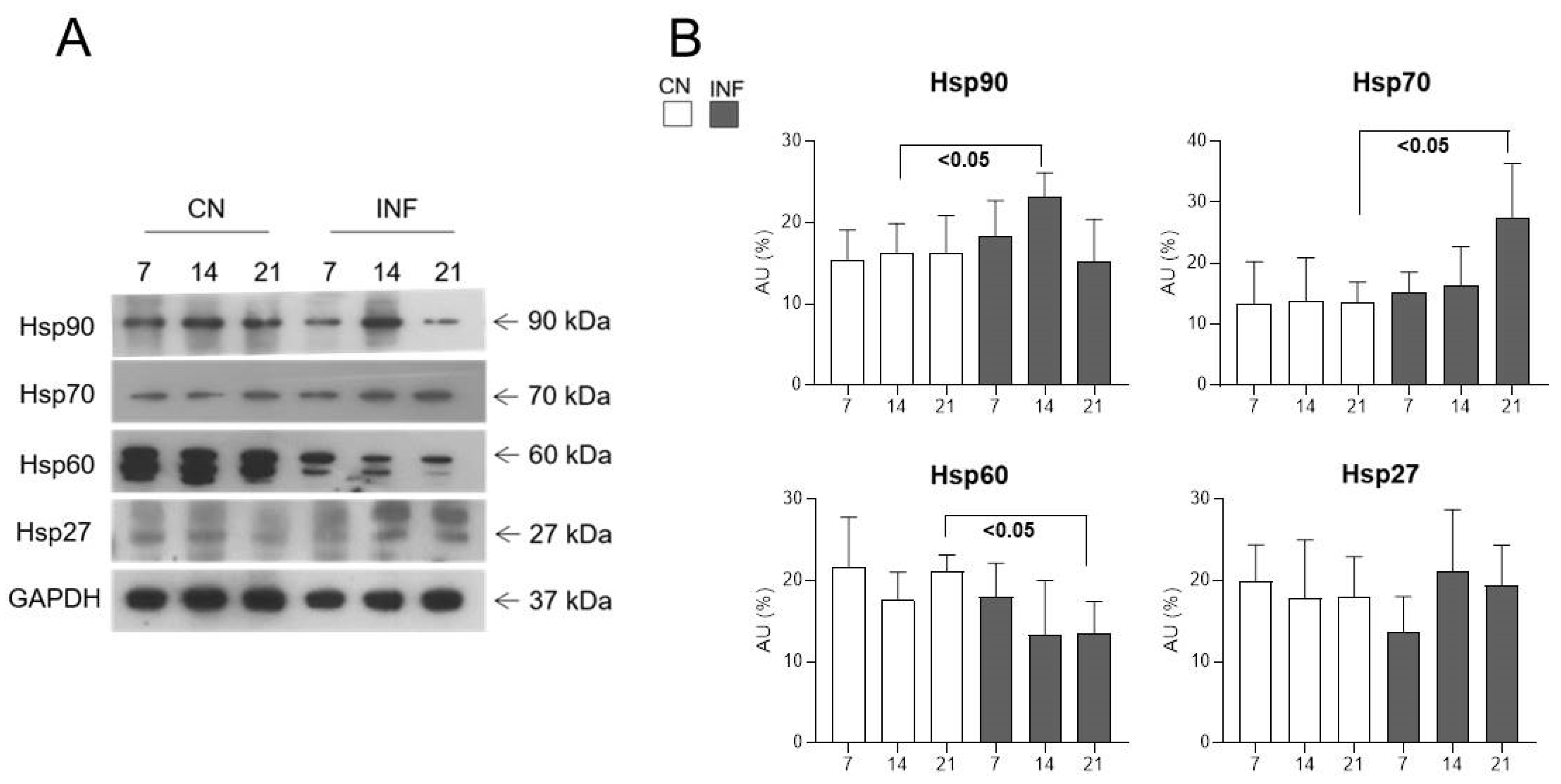 Ijms 26 09743 g002 Ijms 26 09743 g002