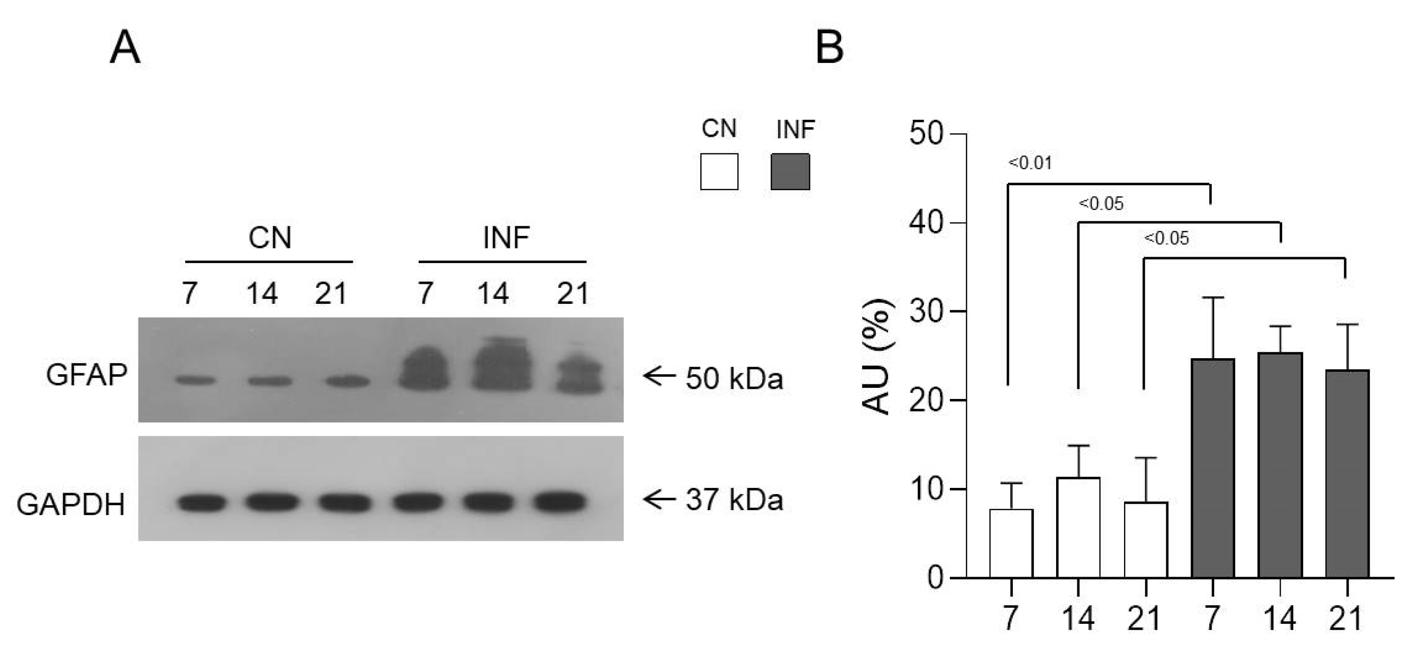 Ijms 26 09743 g005 Ijms 26 09743 g005