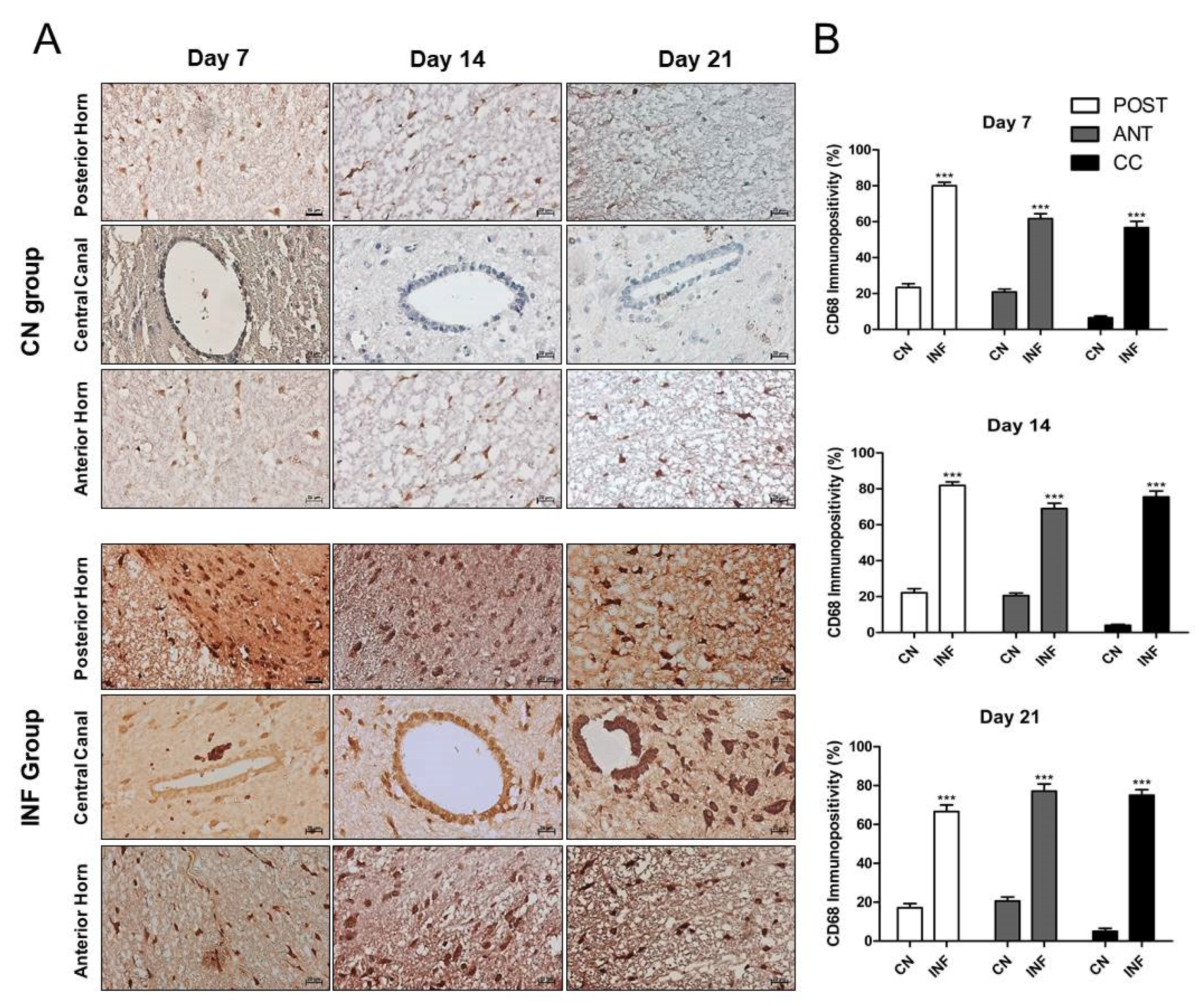 Ijms 26 09743 g006 Ijms 26 09743 g006