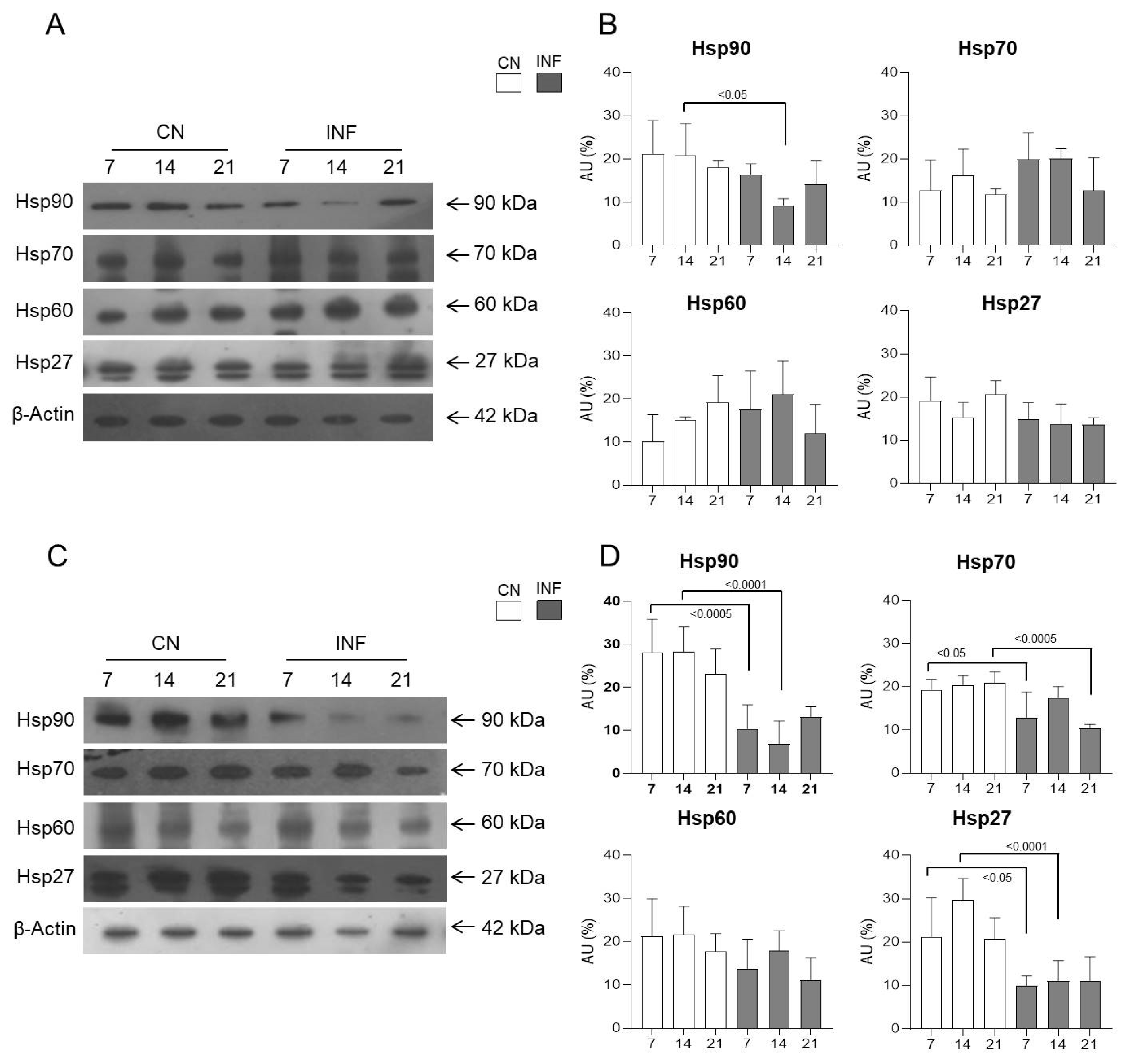 Ijms 26 09743 g009 Ijms 26 09743 g009