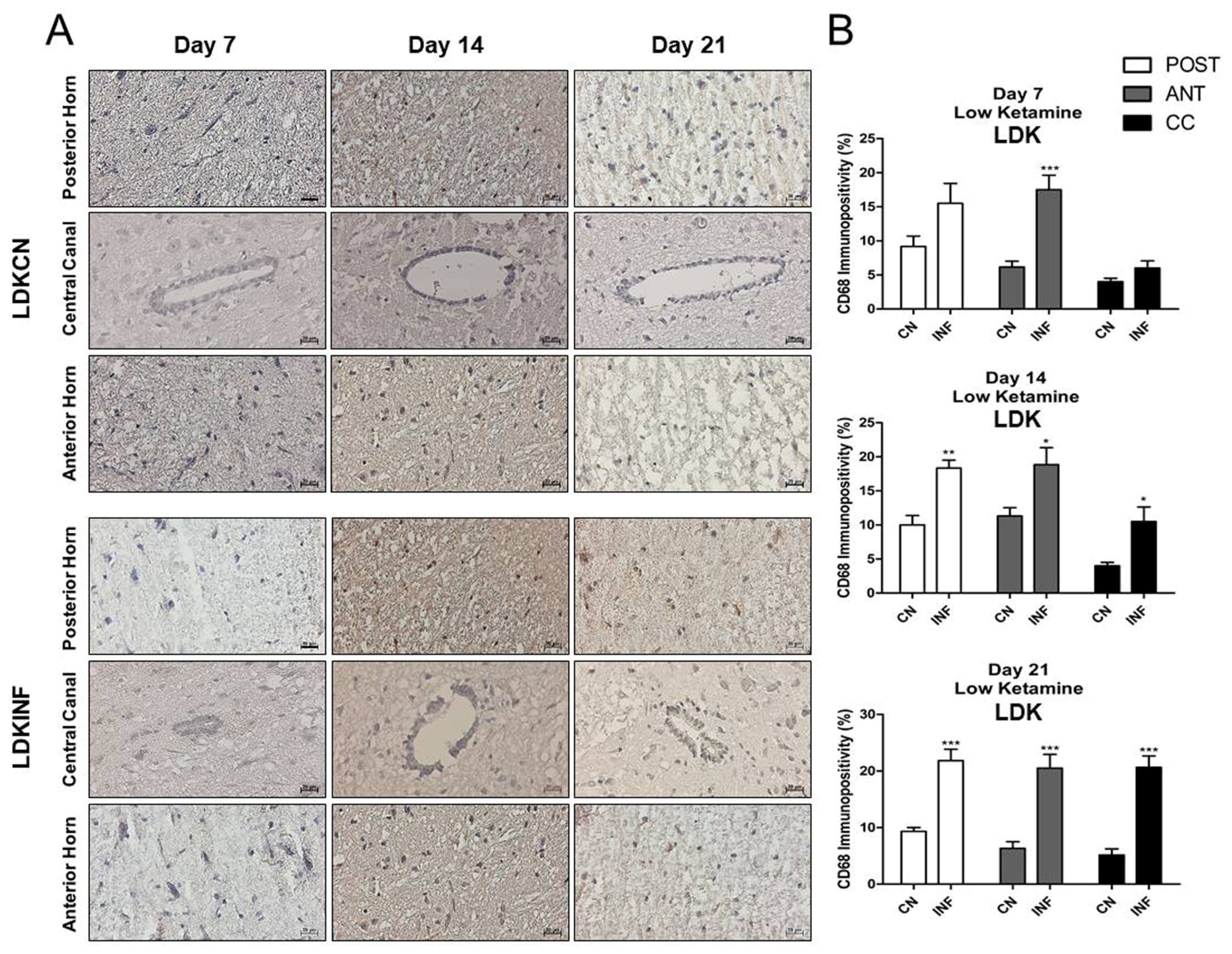 Ijms 26 09743 g010 Ijms 26 09743 g010