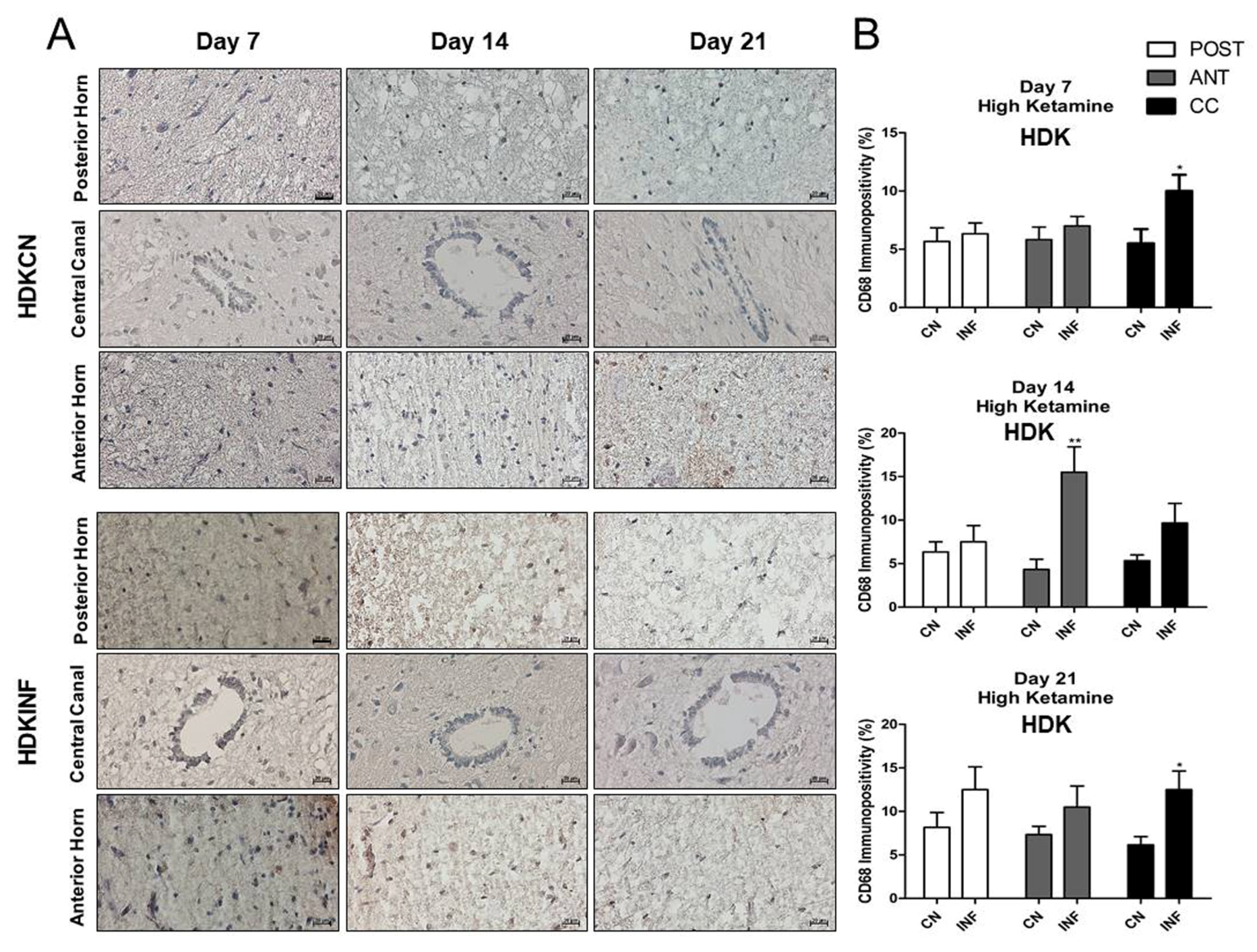 Ijms 26 09743 g011 Ijms 26 09743 g011