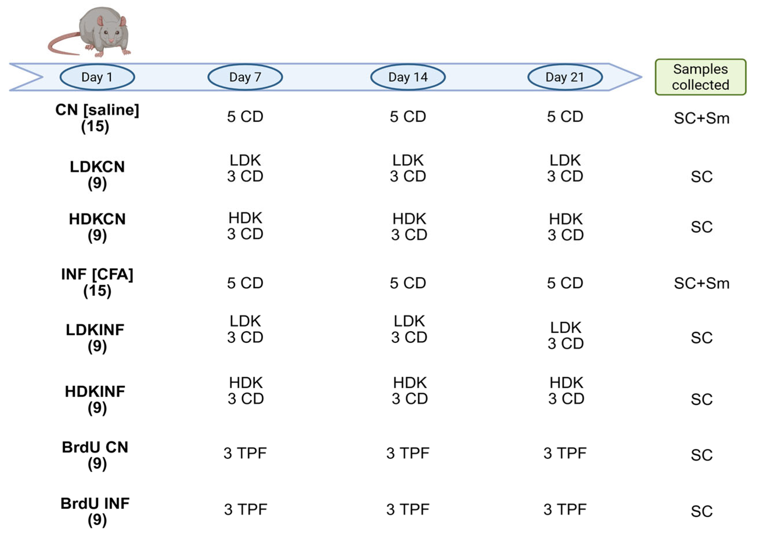 Ijms 26 09743 g013 Ijms 26 09743 g013