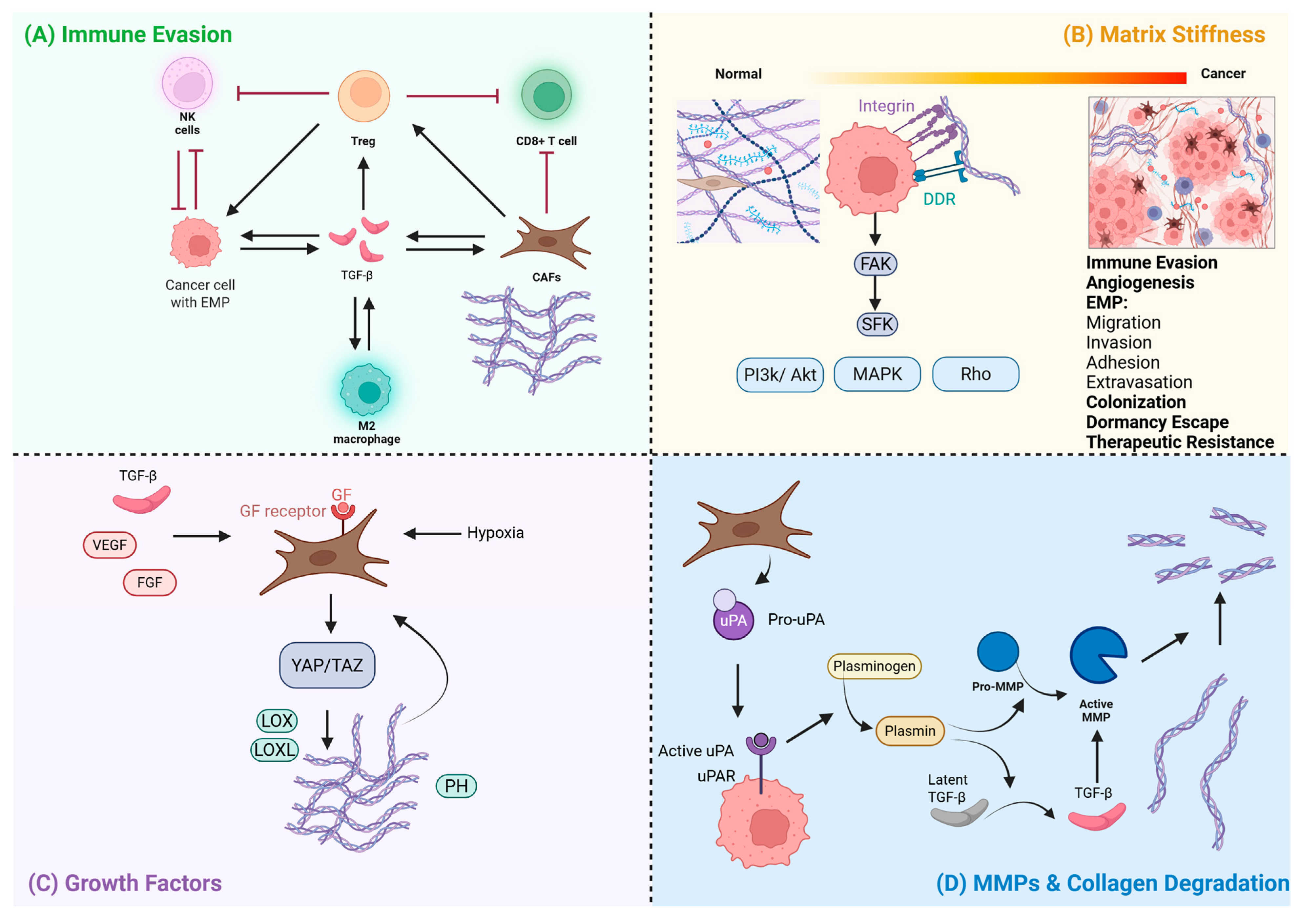 Ijms 26 09745 g001 Ijms 26 09745 g001