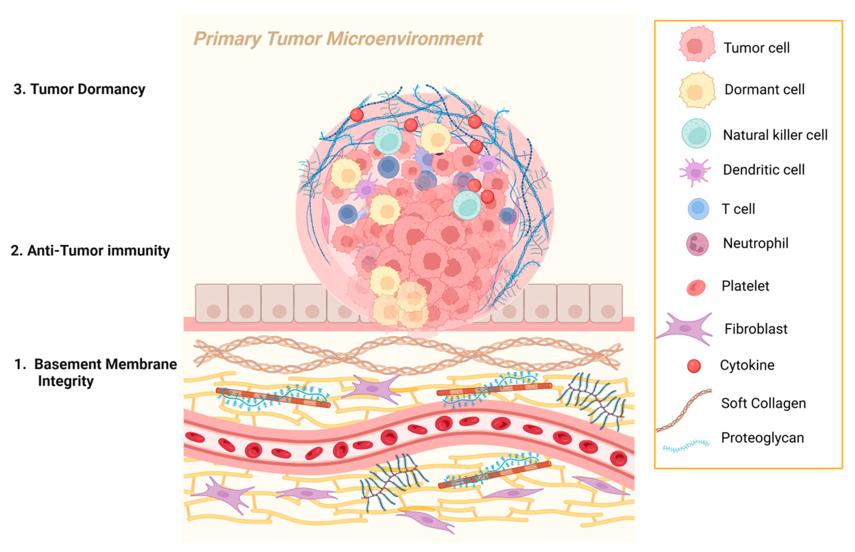 Ijms 26 09745 g002 Ijms 26 09745 g002
