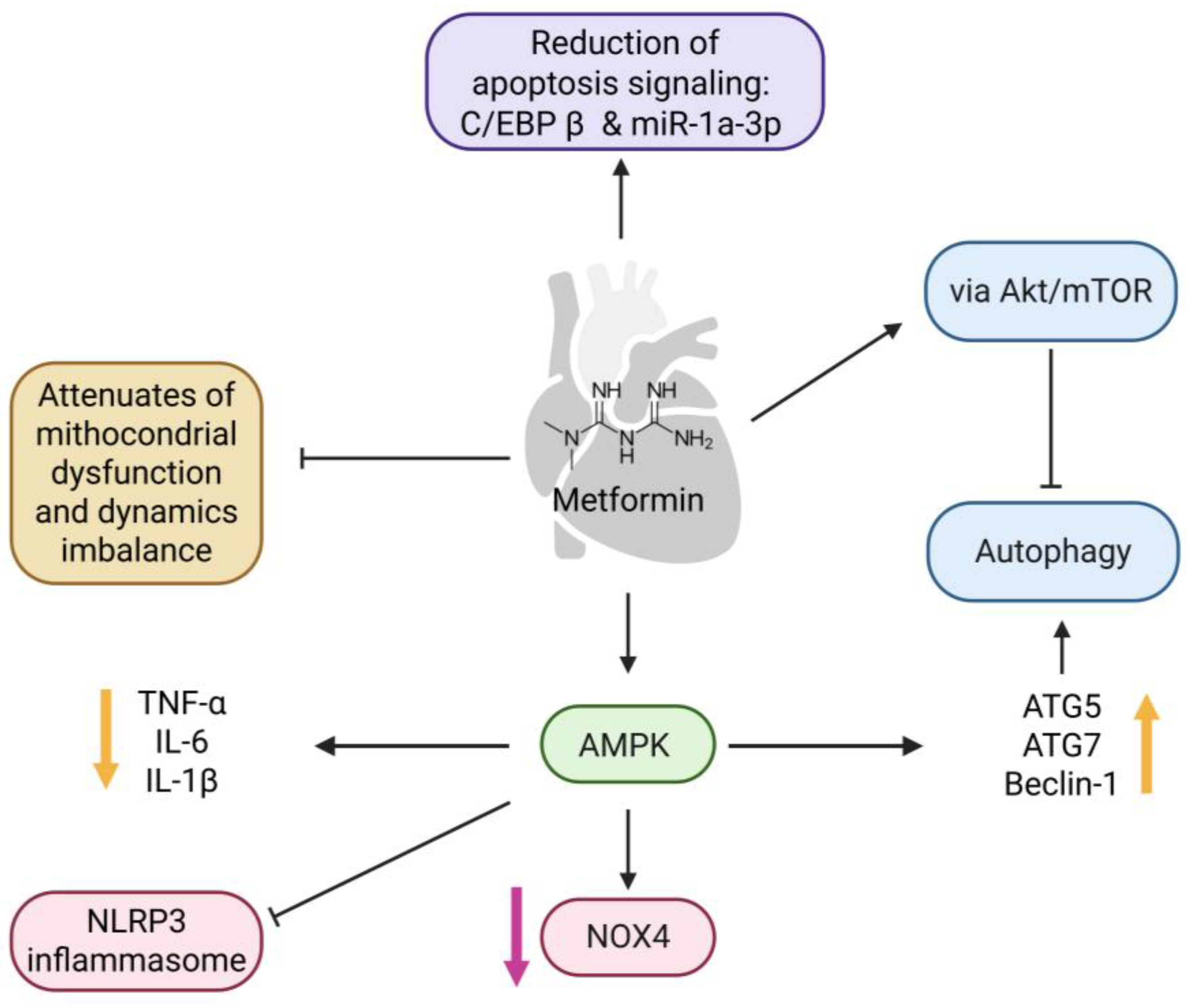 Ijms 26 09748 g004 Ijms 26 09748 g004