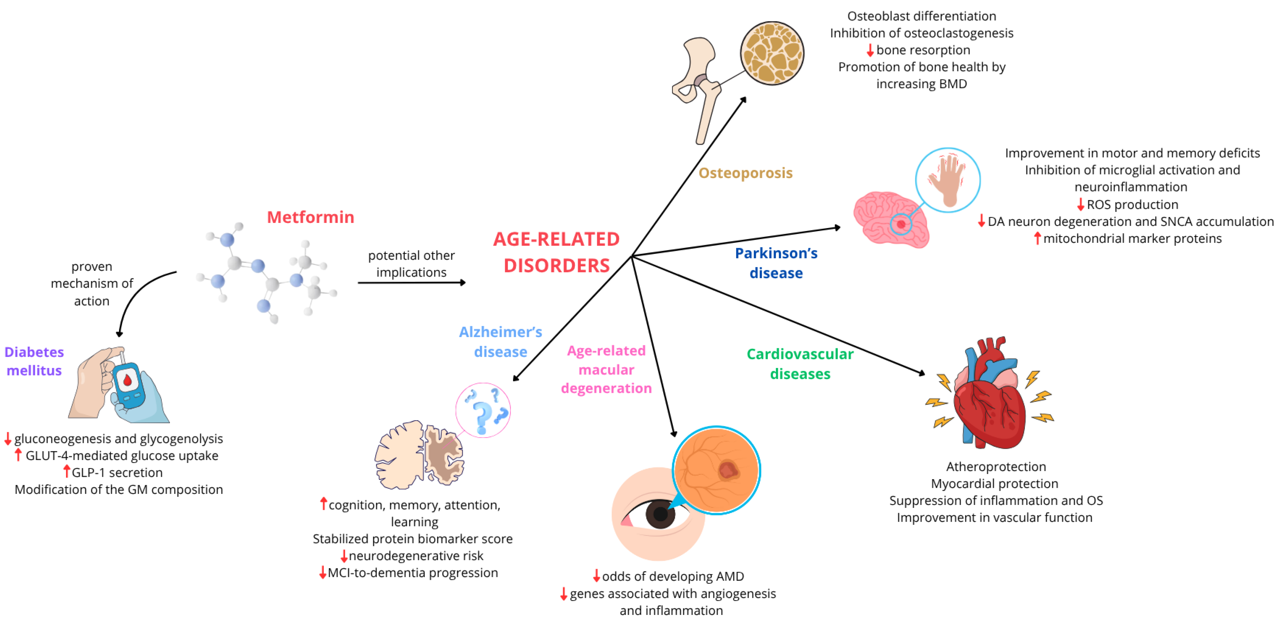 Ijms 26 09748 g005 Ijms 26 09748 g005