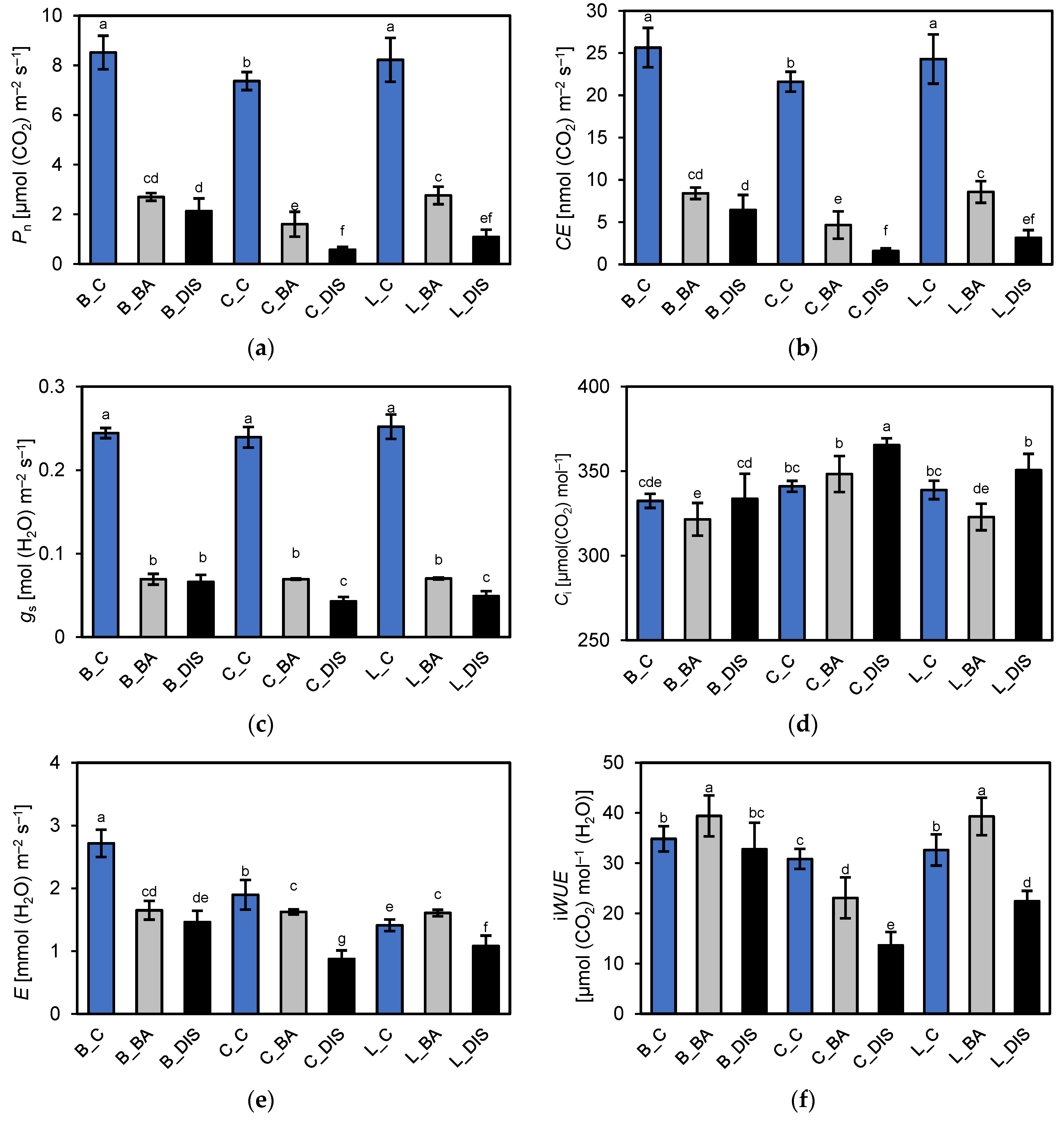 Ijms 26 09749 g007 Ijms 26 09749 g007