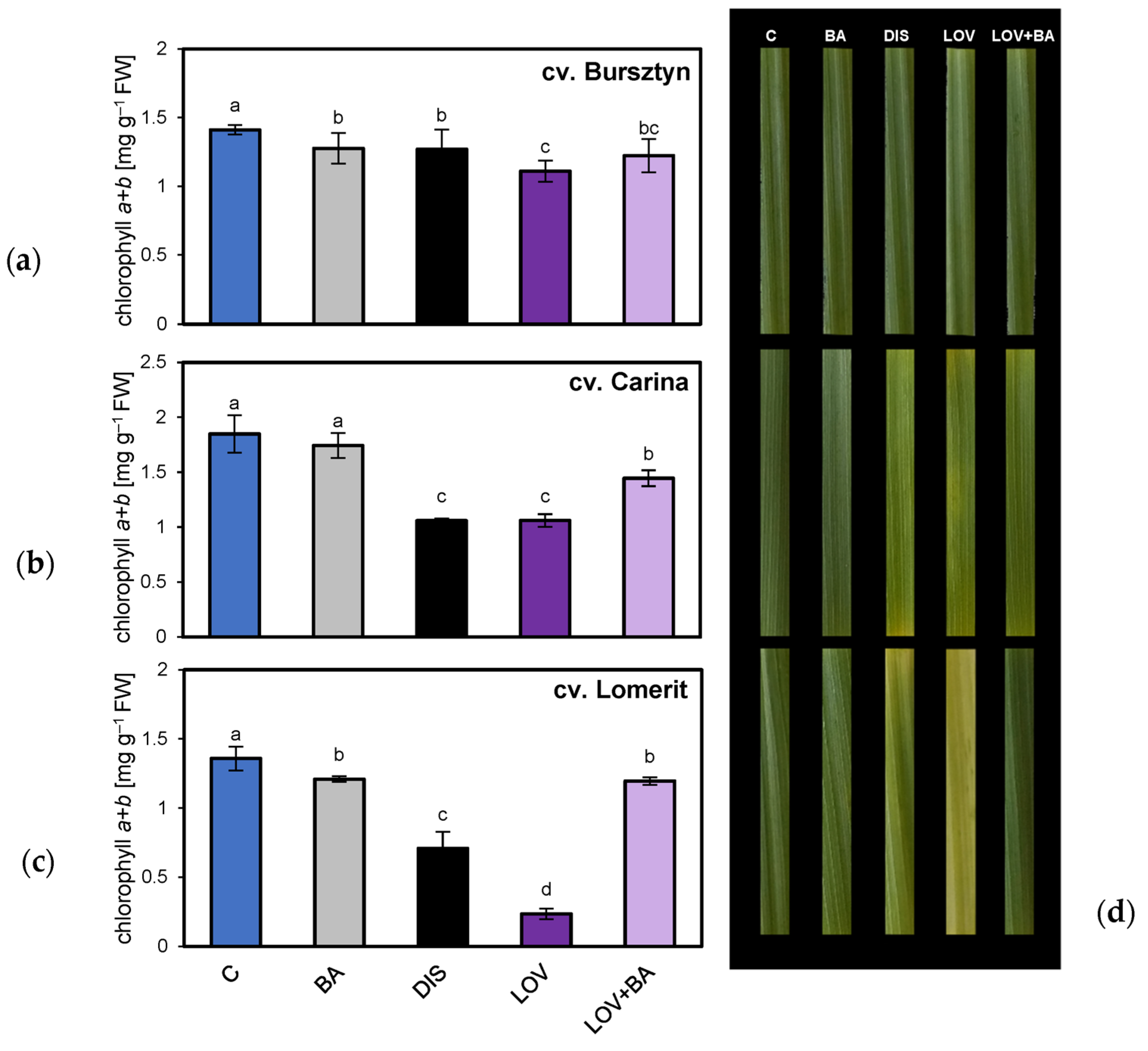 Ijms 26 09749 g012 Ijms 26 09749 g012