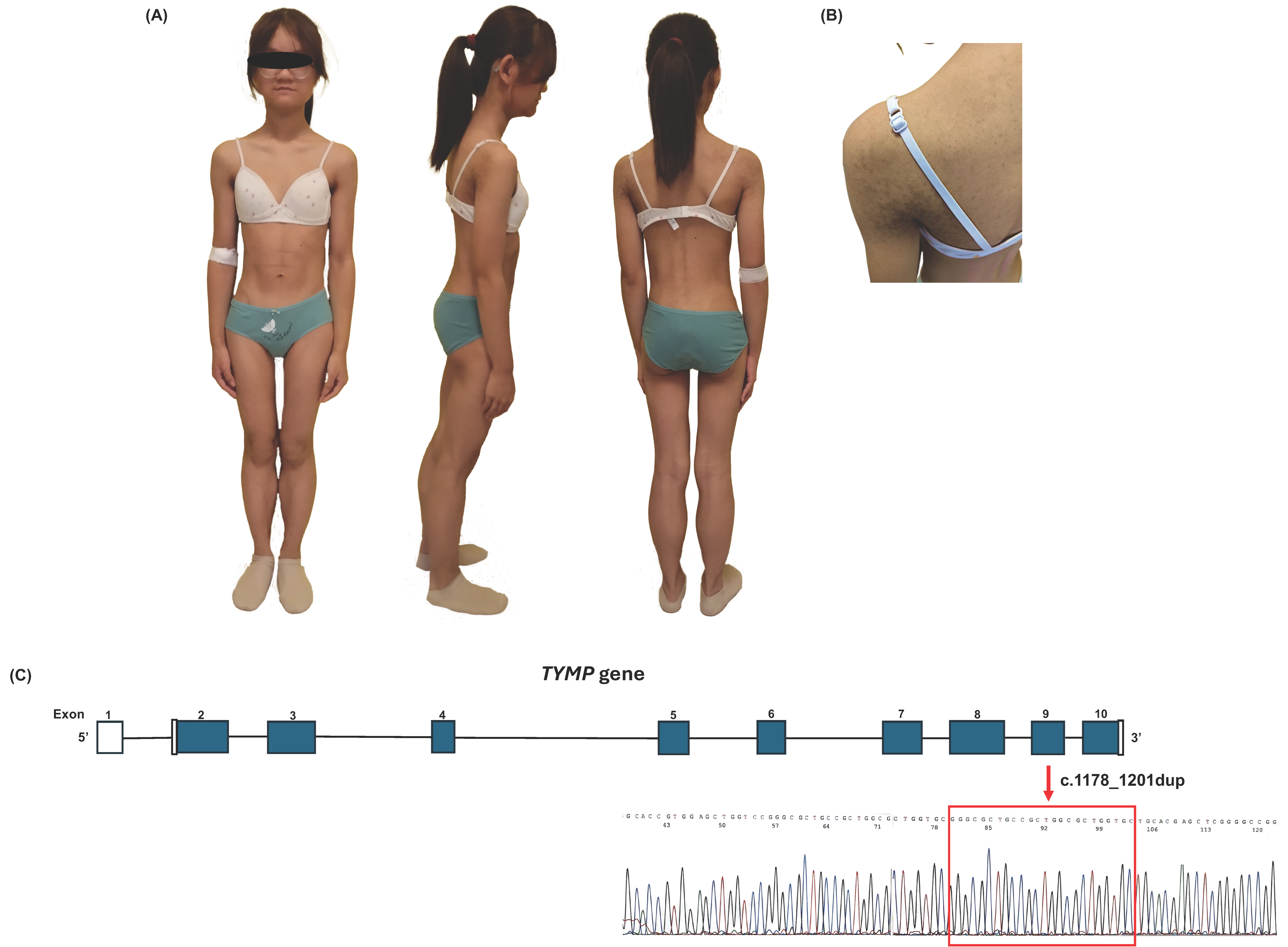 Ijms 26 09751 g001 Ijms 26 09751 g001