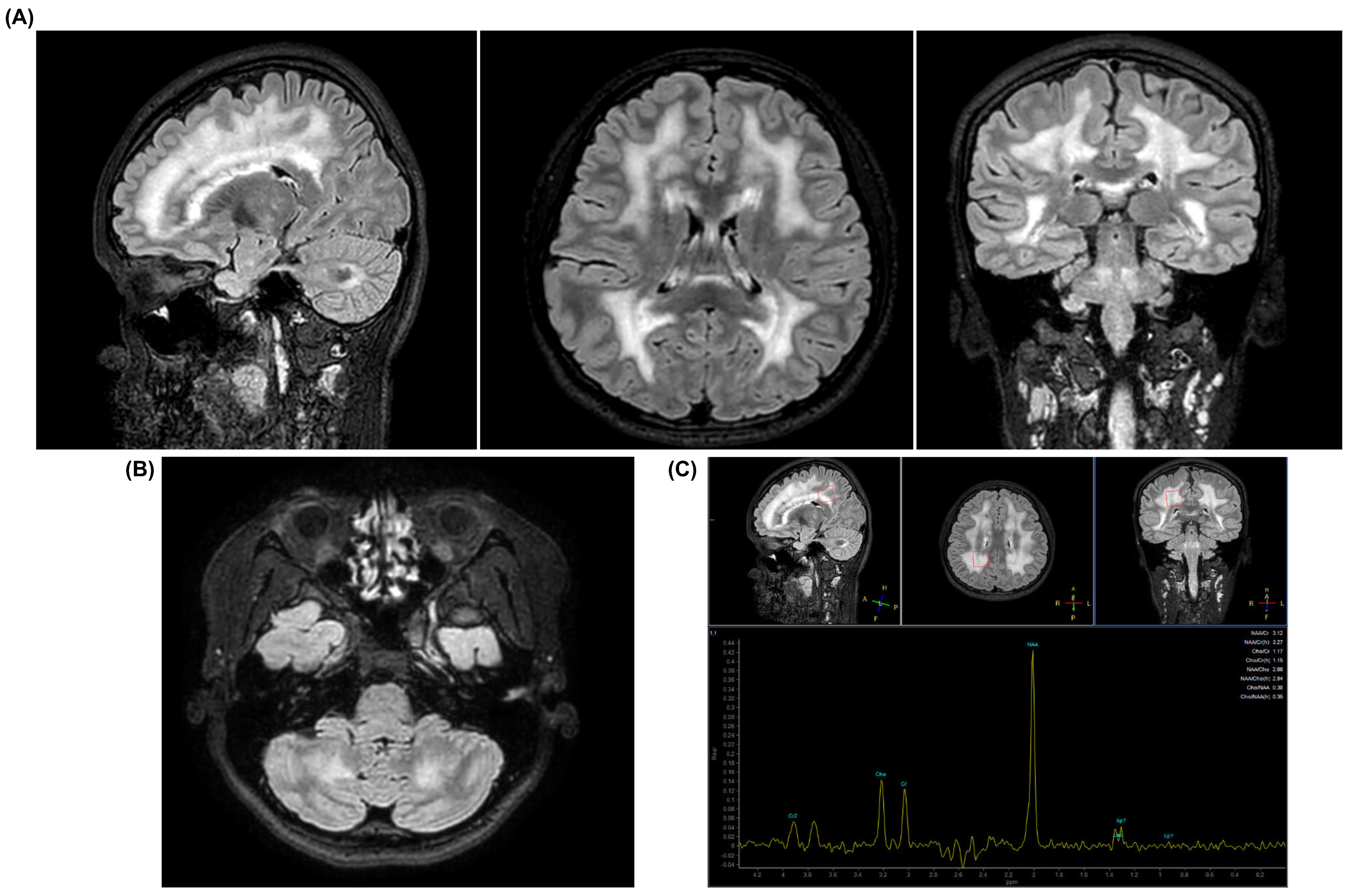 Ijms 26 09751 g002 Ijms 26 09751 g002