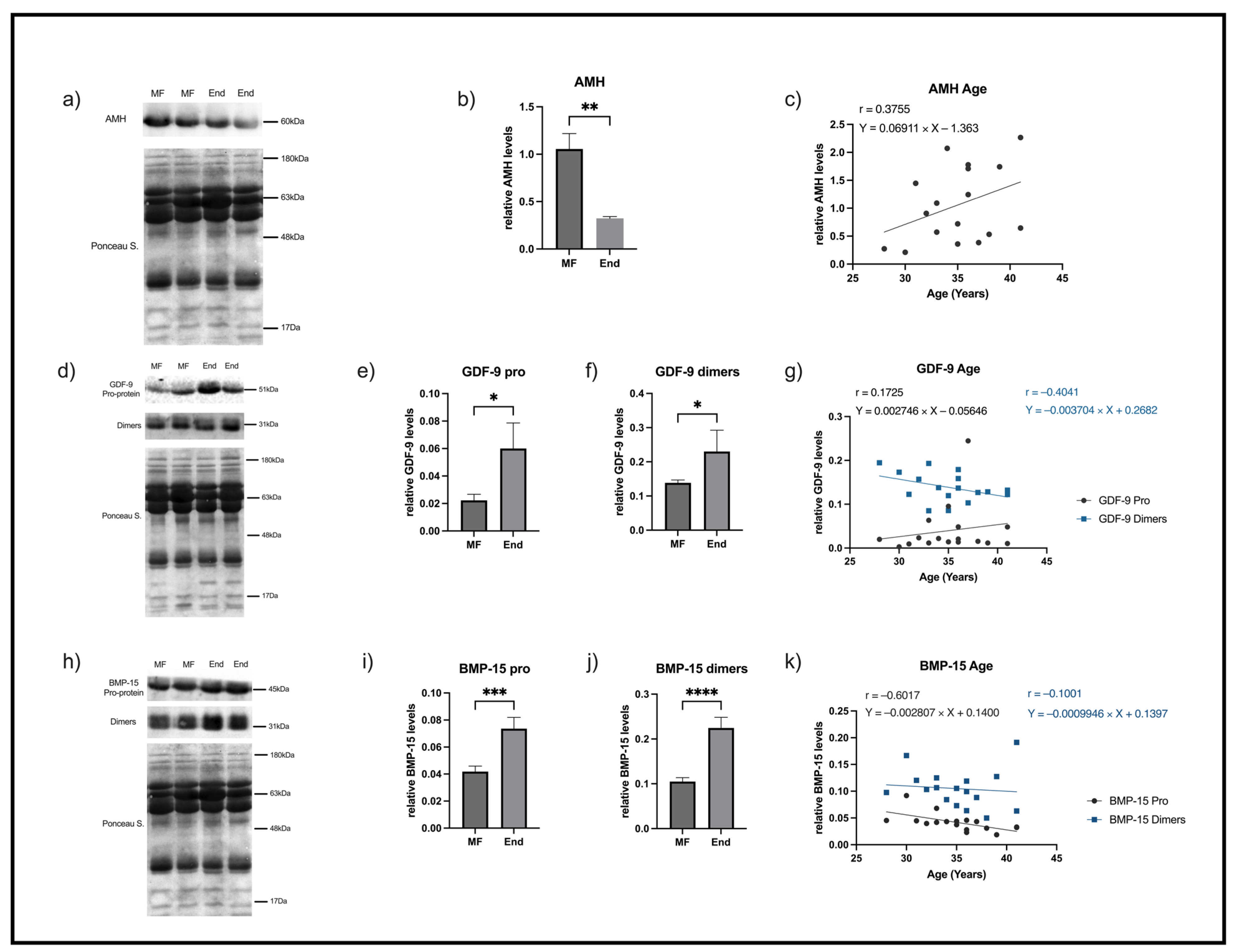 Ijms 26 09752 g001 Ijms 26 09752 g001