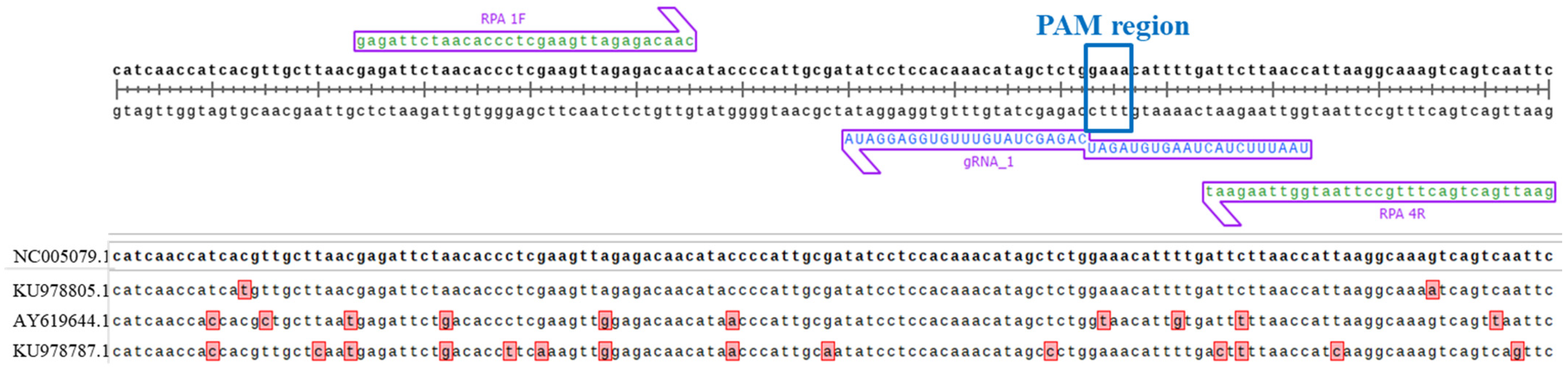 Ijms 26 09754 g003 Ijms 26 09754 g003