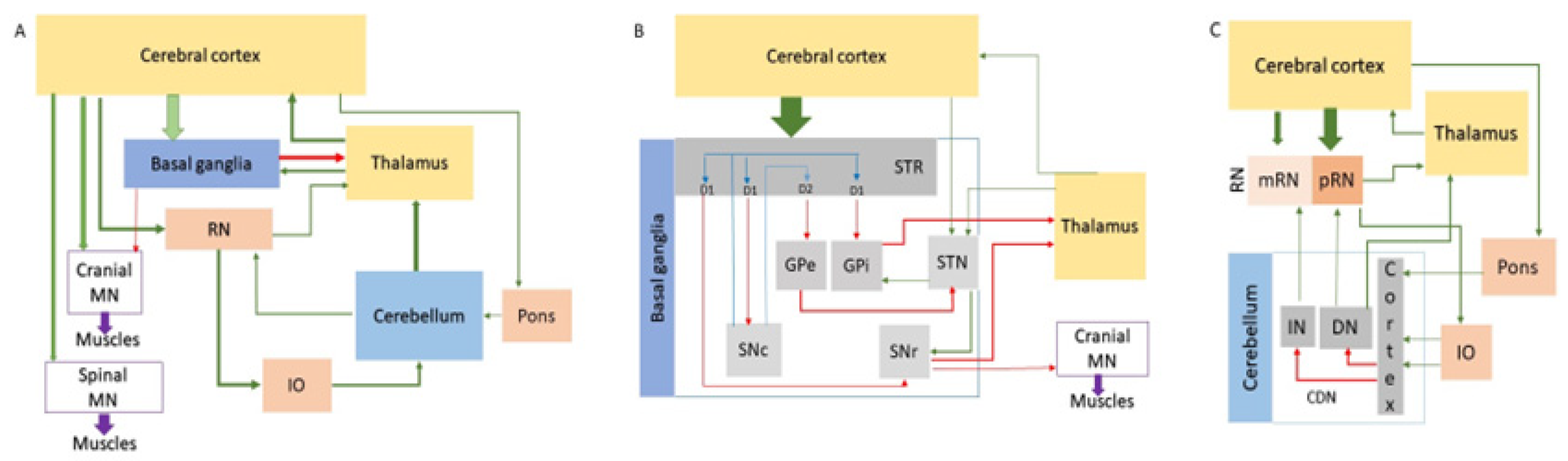 Ijms 26 09755 g002 Ijms 26 09755 g002