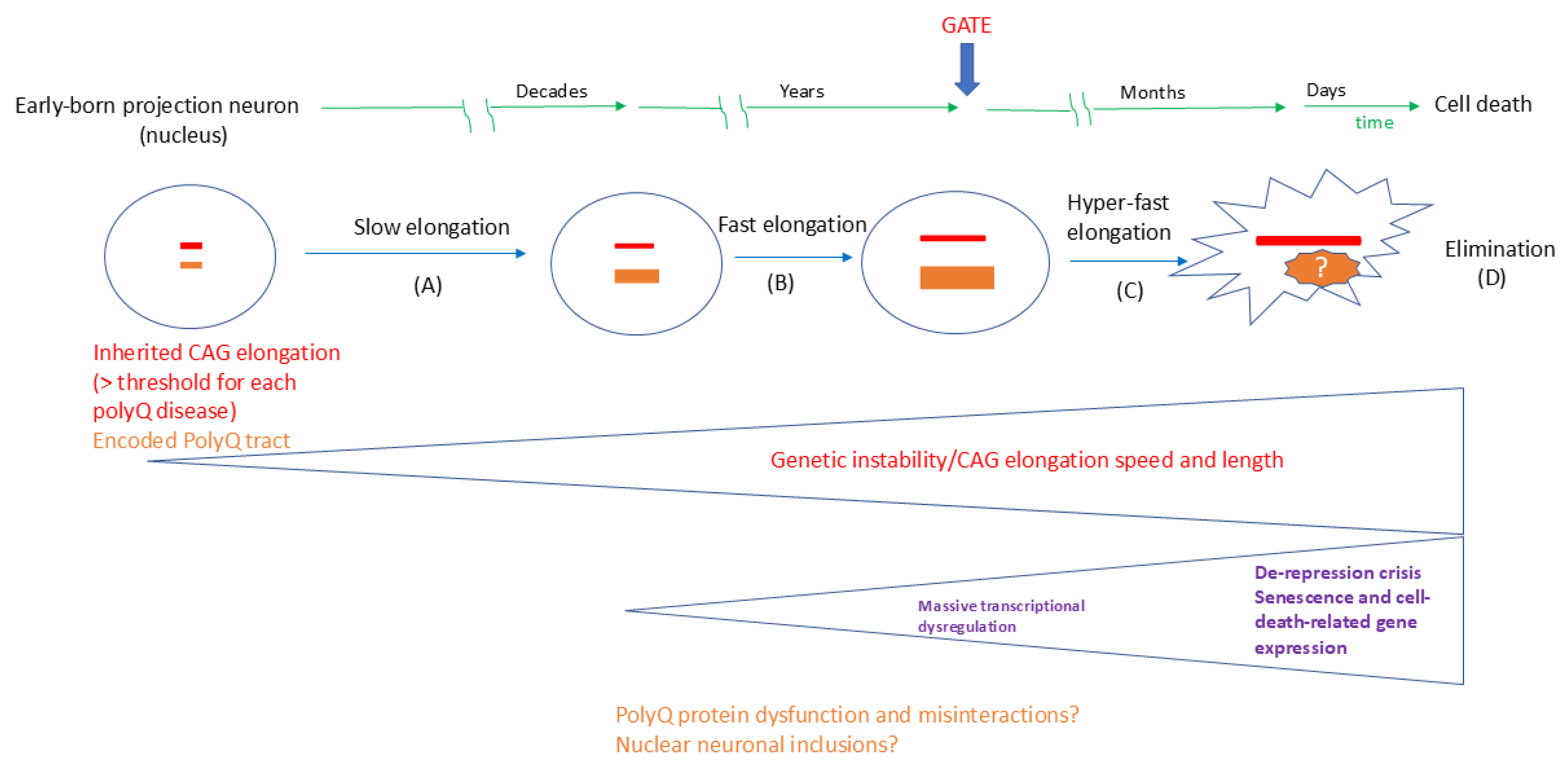 Ijms 26 09755 g004 Ijms 26 09755 g004
