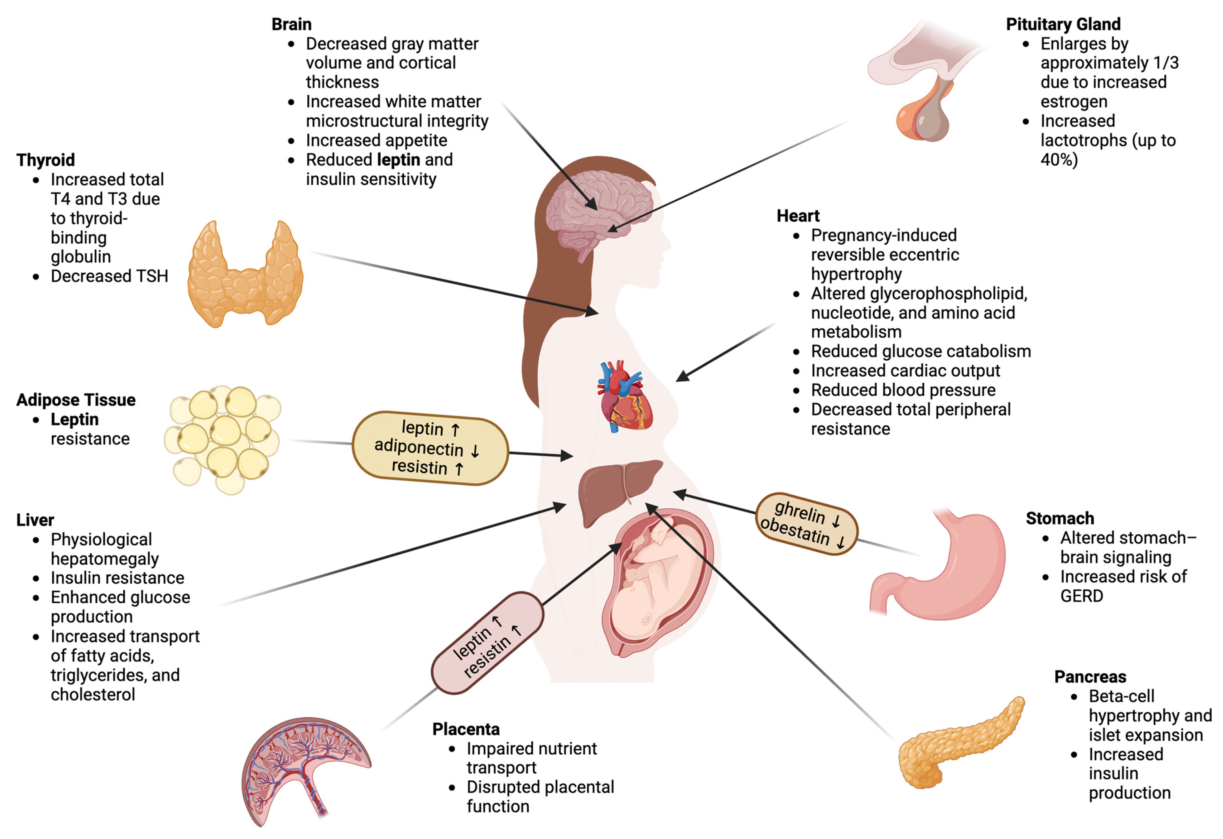 Ijms 26 09757 g001 Ijms 26 09757 g001