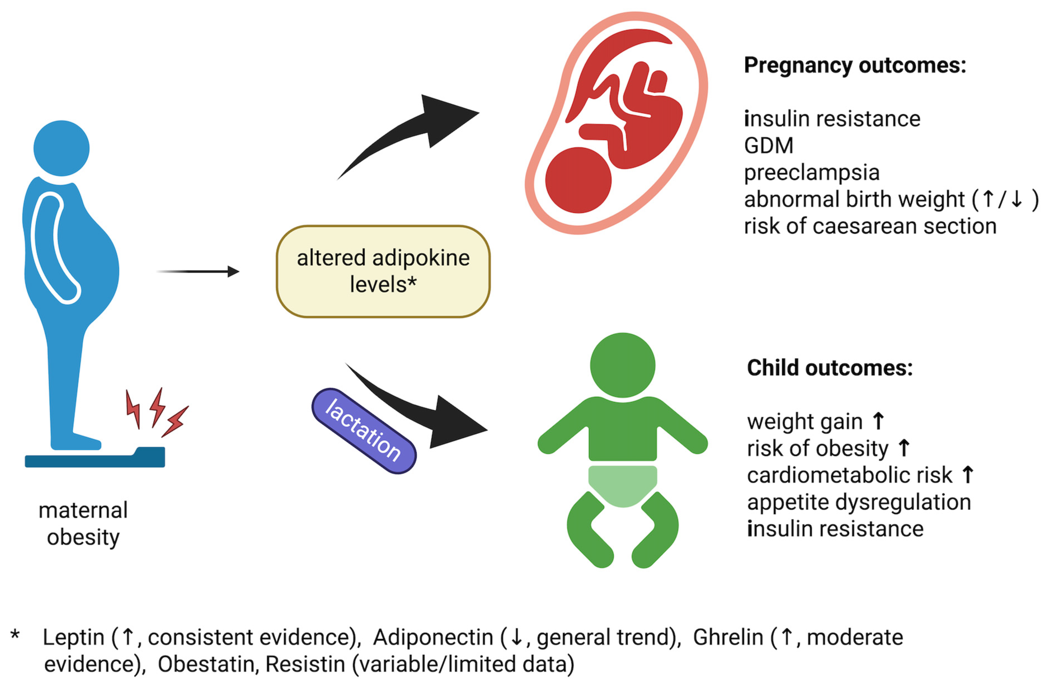 Ijms 26 09757 g002 Ijms 26 09757 g002