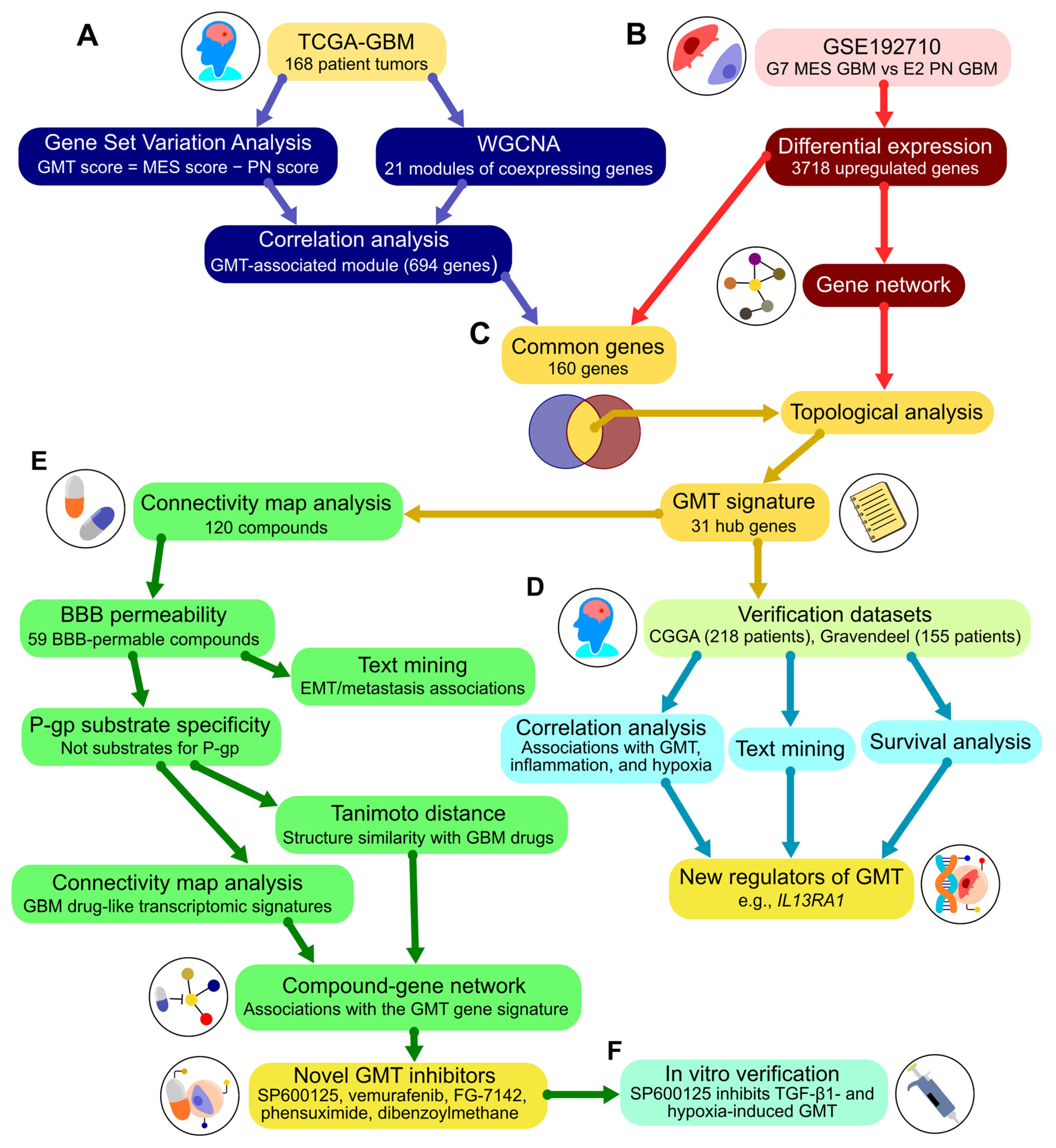 Ijms 26 09772 g001 Ijms 26 09772 g001