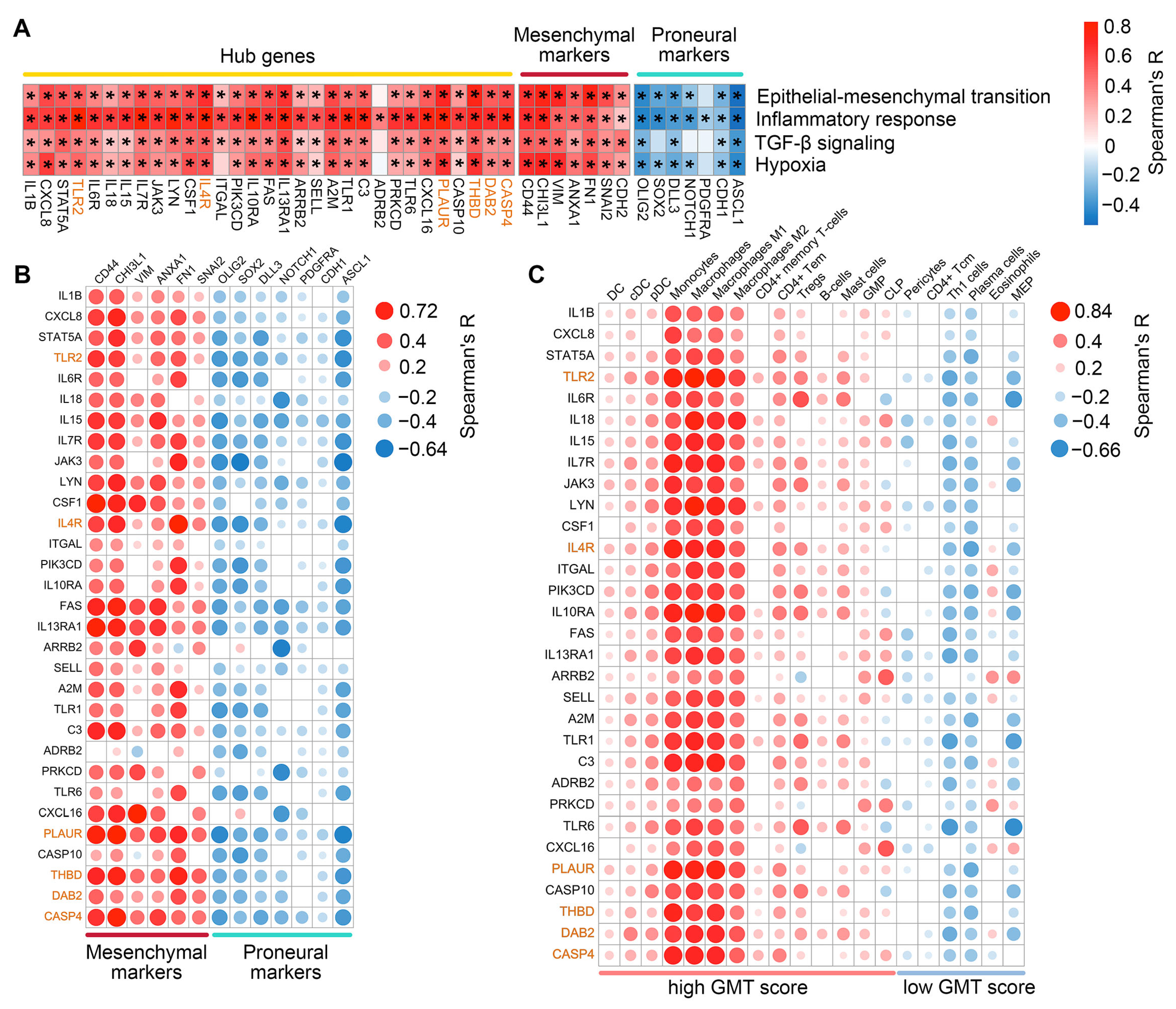 Ijms 26 09772 g004 Ijms 26 09772 g004